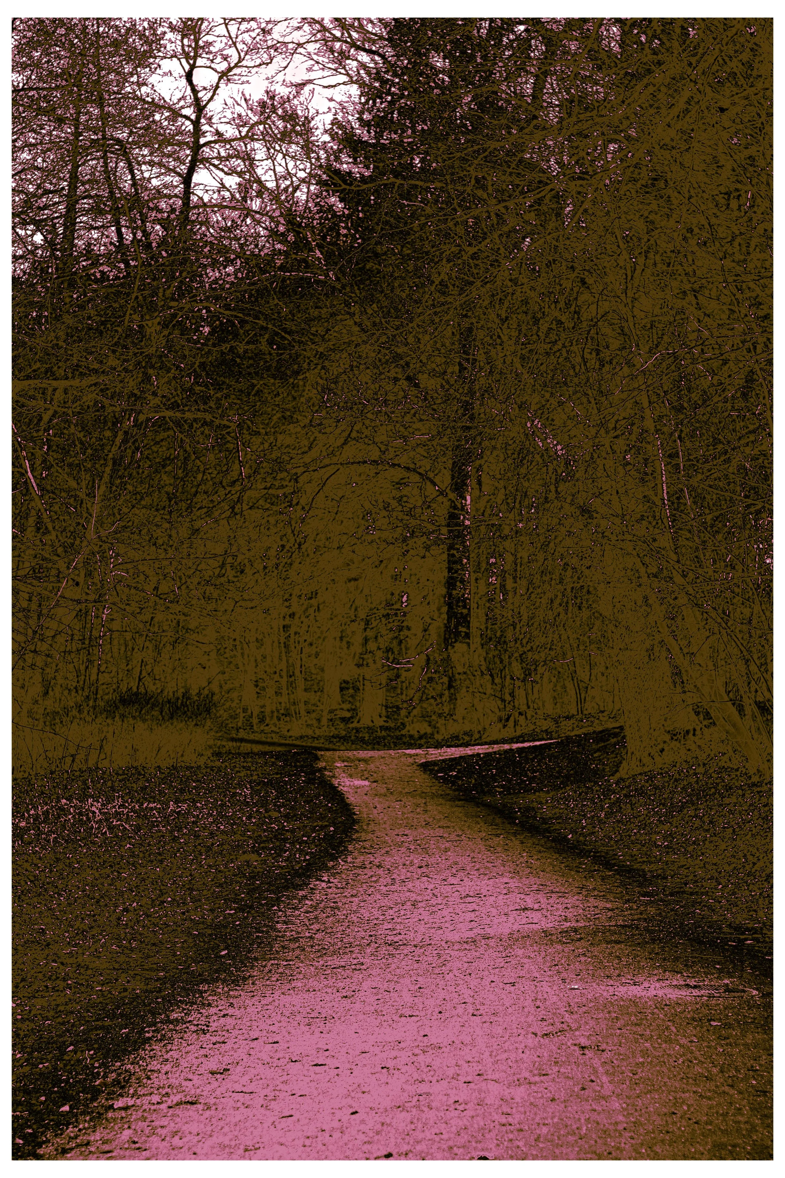 2022 Autonomous_Nature-14.jpg