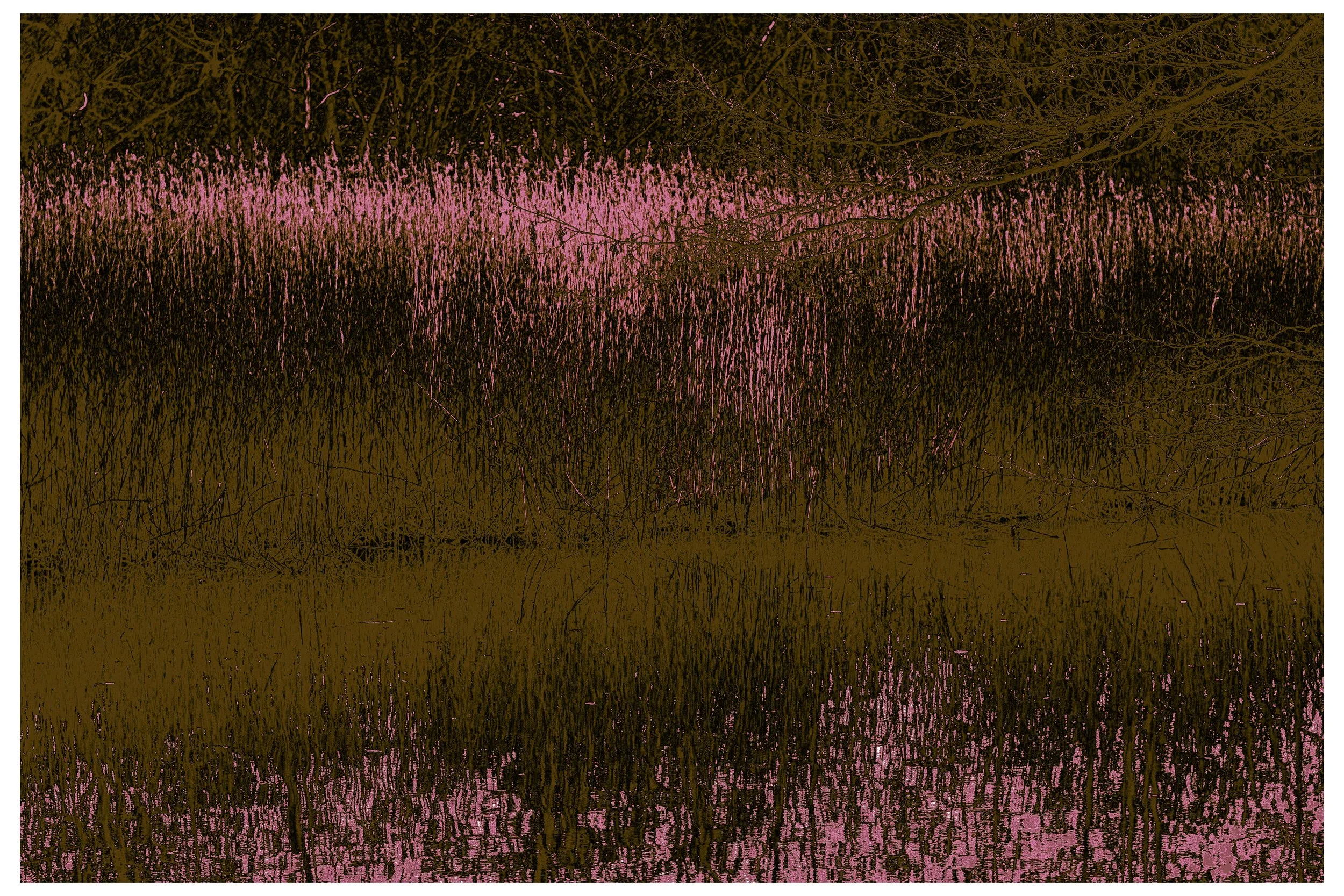 2022 Autonomous_Nature-15.jpg