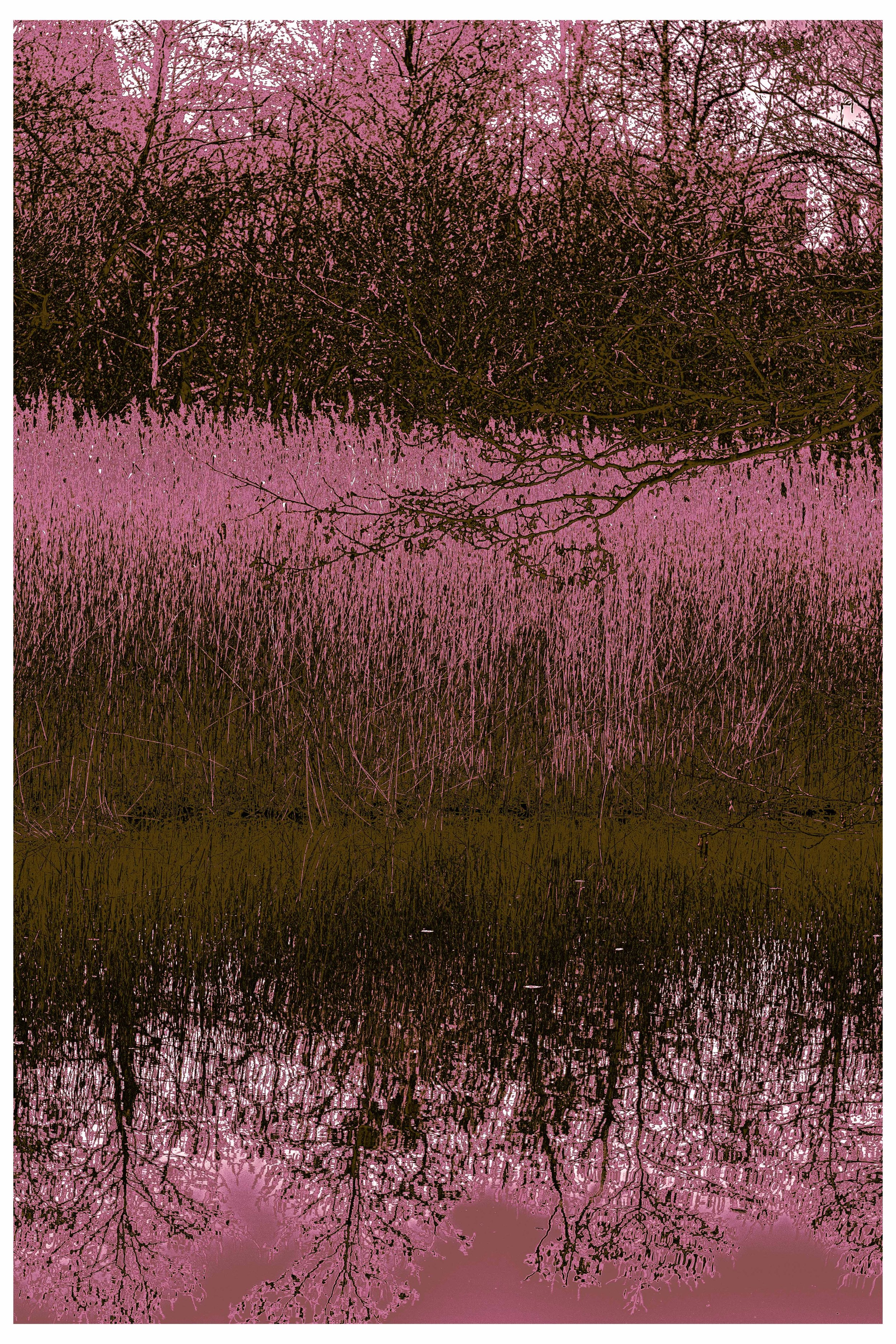 2022 Autonomous_Nature-16.jpg