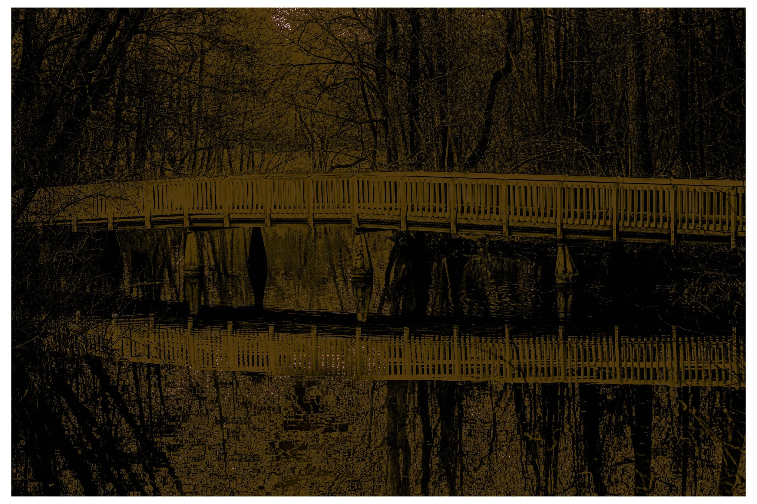 2022 Autonomous_Nature-17.jpg