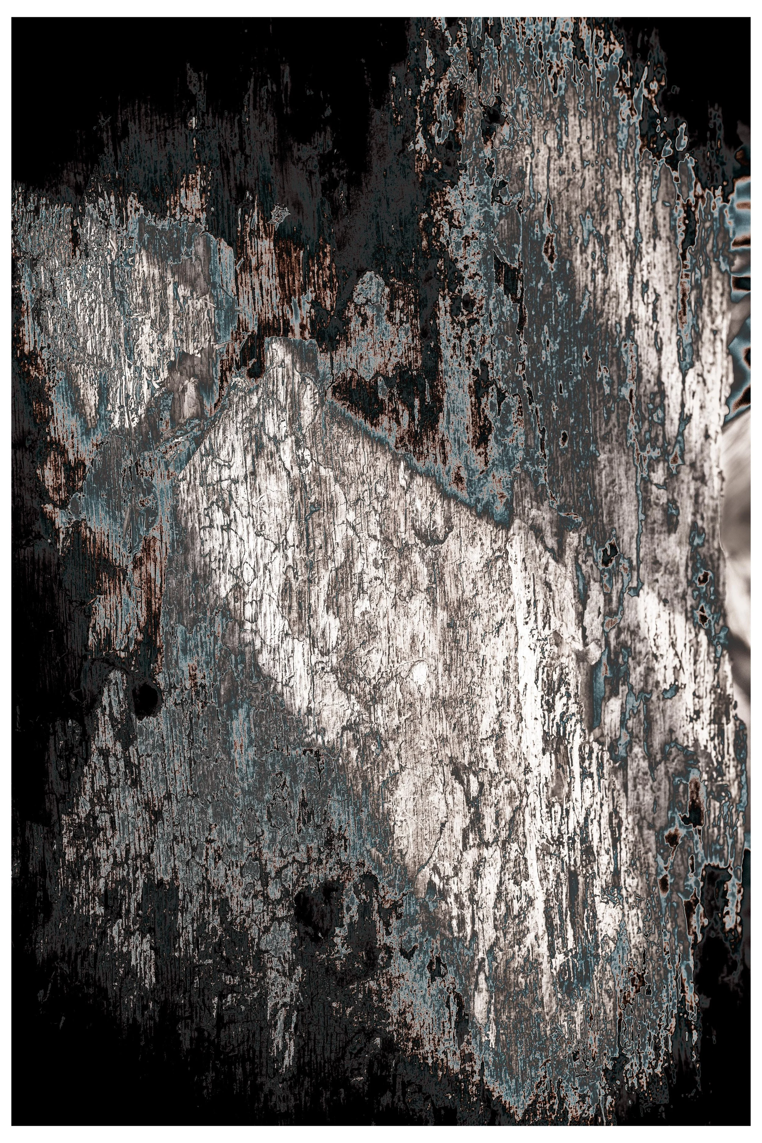 2022 Constrast_coexisting-3.jpg