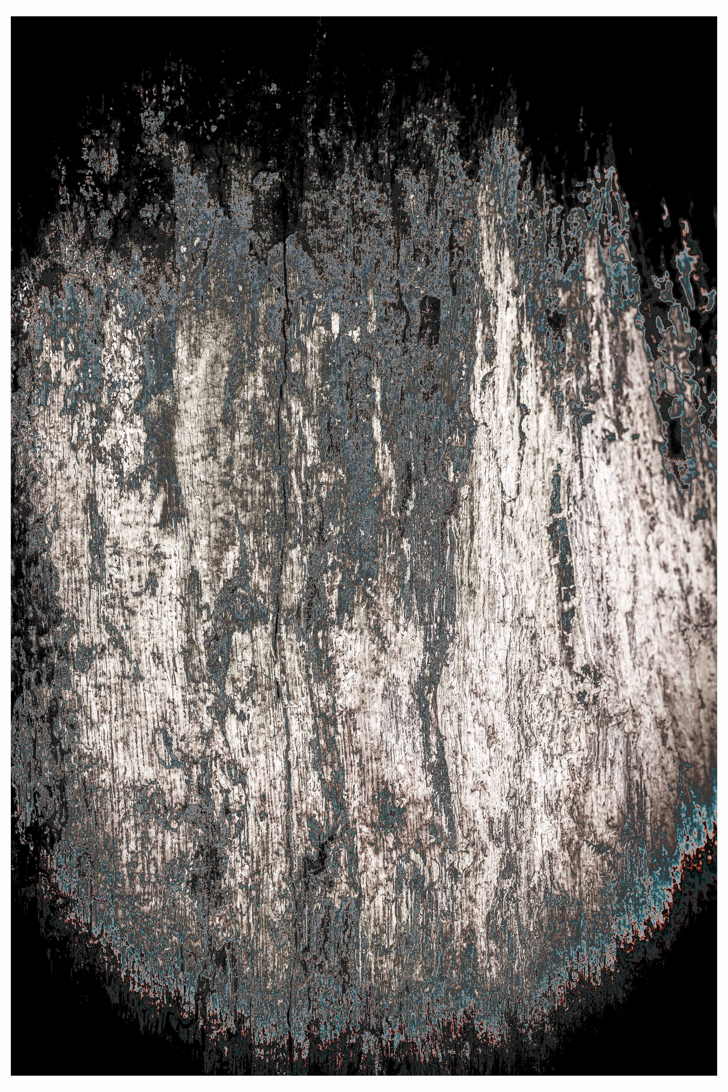 2022 Constrast_coexisting-6.jpg