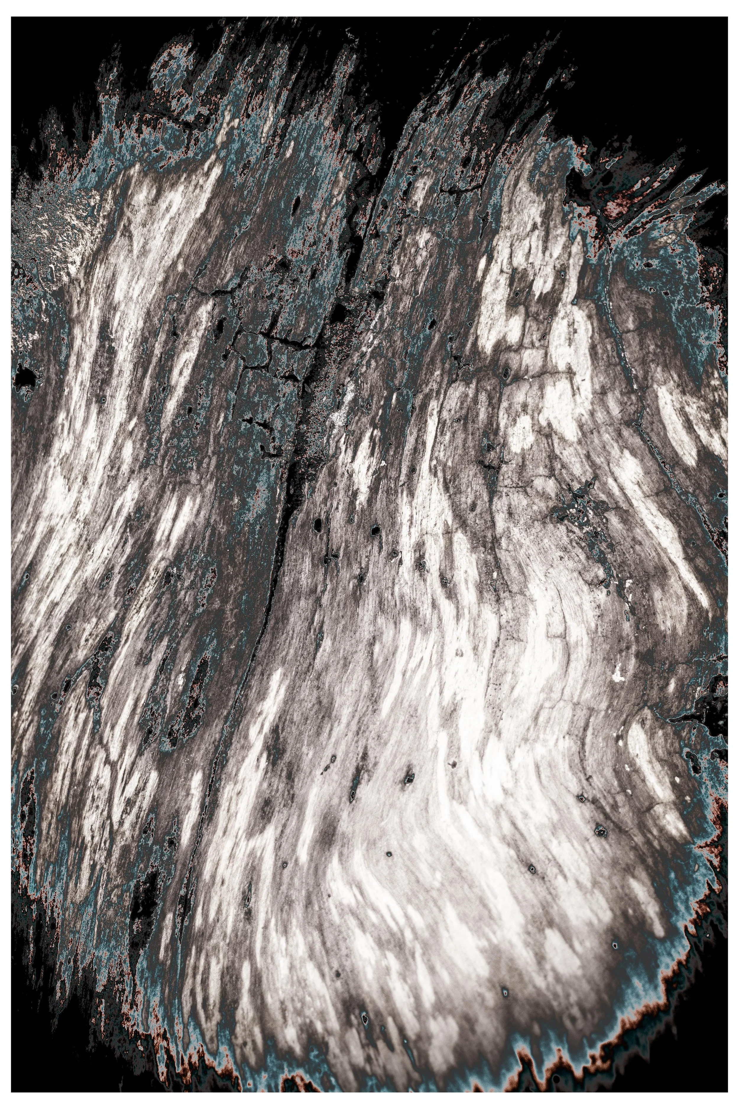 2022 Constrast_coexisting-8.jpg