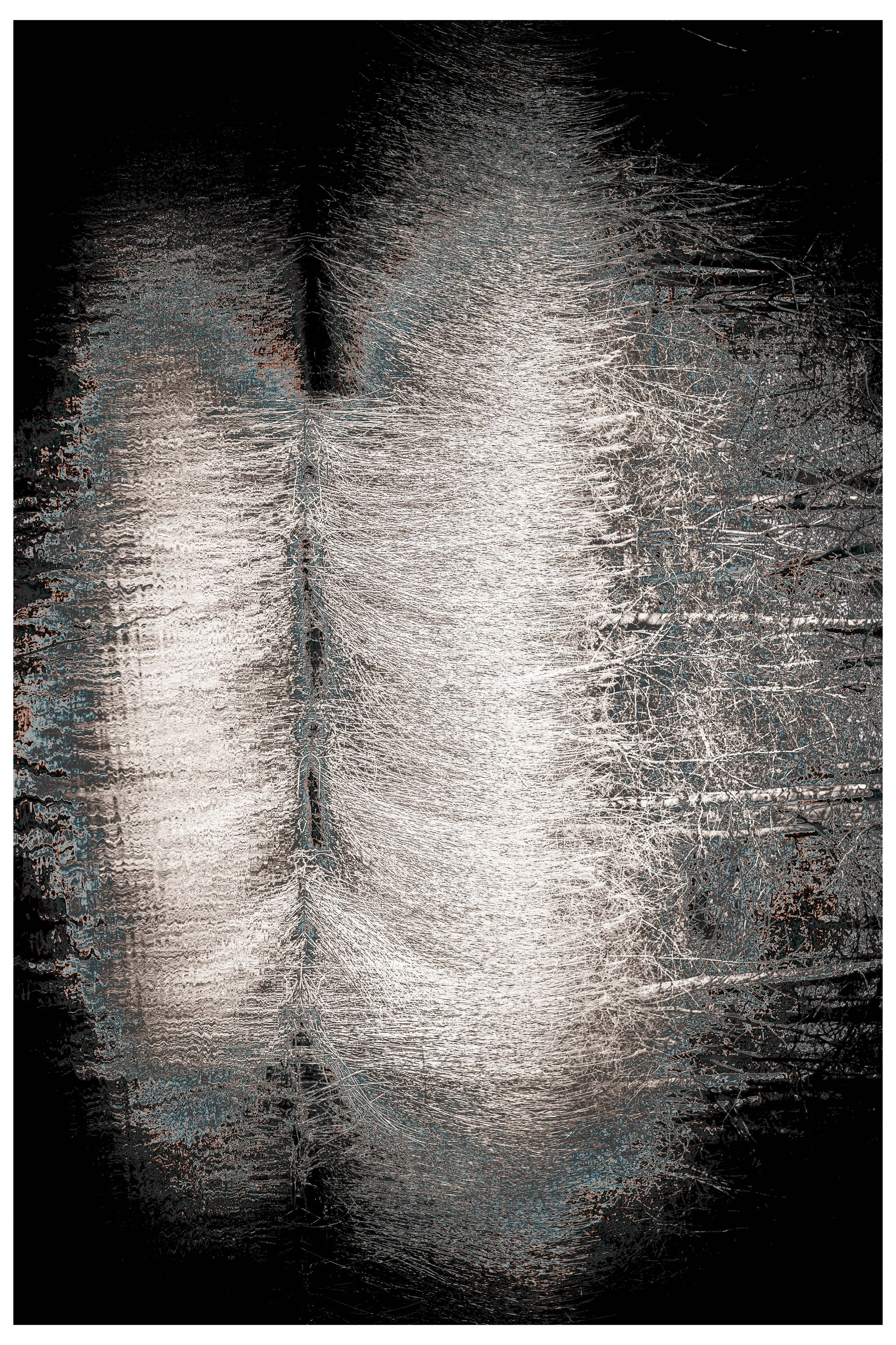 2022 Constrast_coexisting-9.jpg