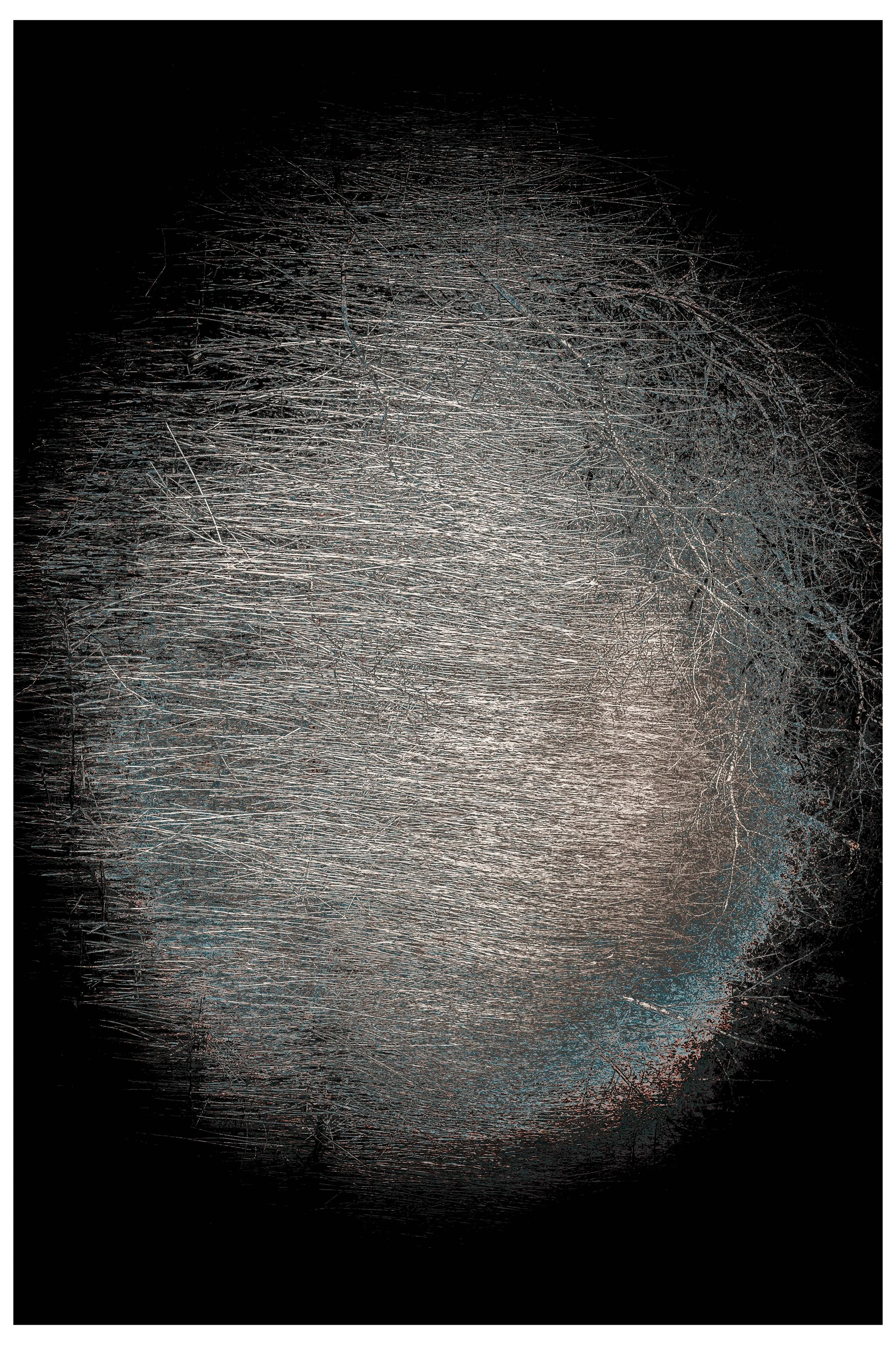 2022 Constrast_coexisting-10.jpg