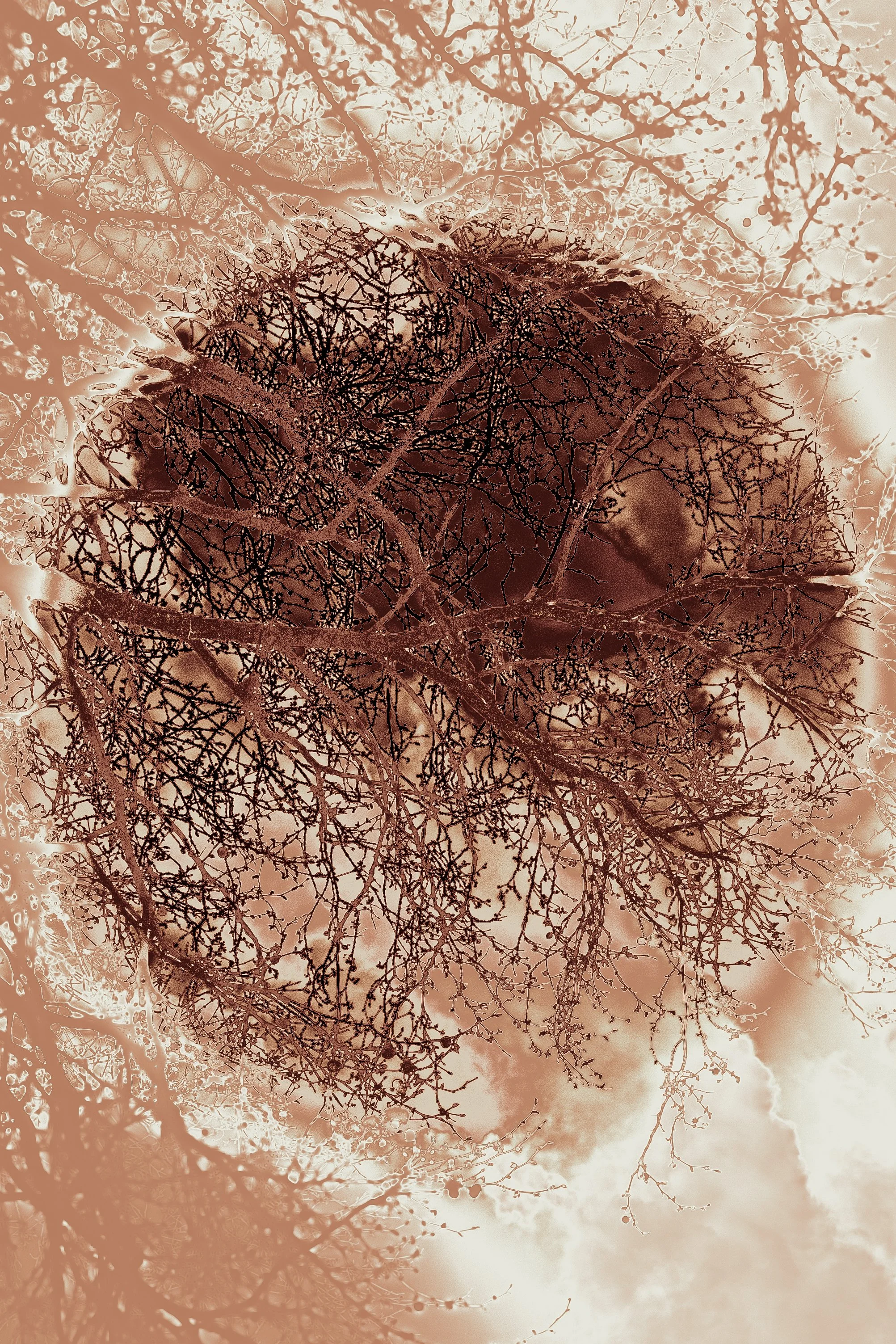 2022_Connecting_Heaven and Earth_Izabella Schou-11.jpg