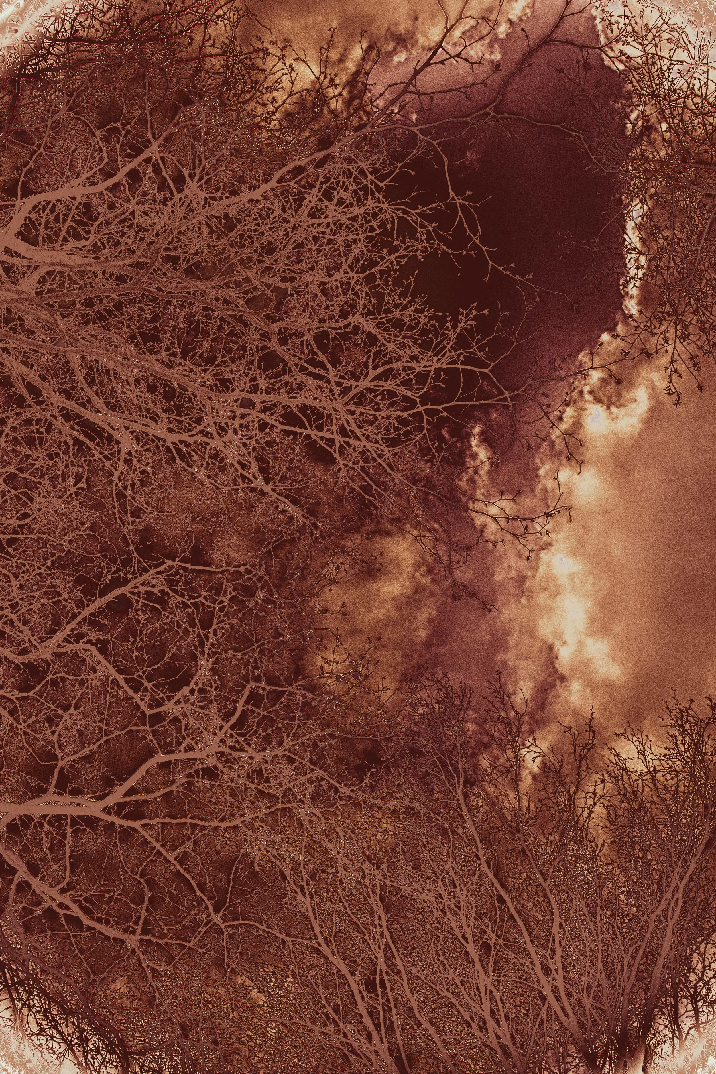 2022_Connecting_Heaven and Earth_Izabella Schou-25.jpg