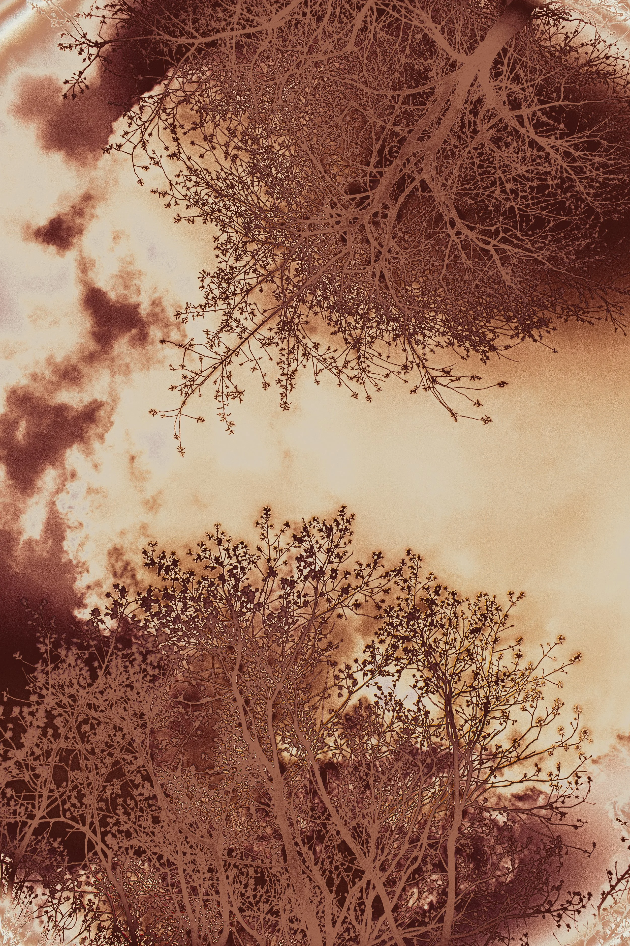 2022_Connecting_Heaven and Earth_Izabella Schou-27.jpg