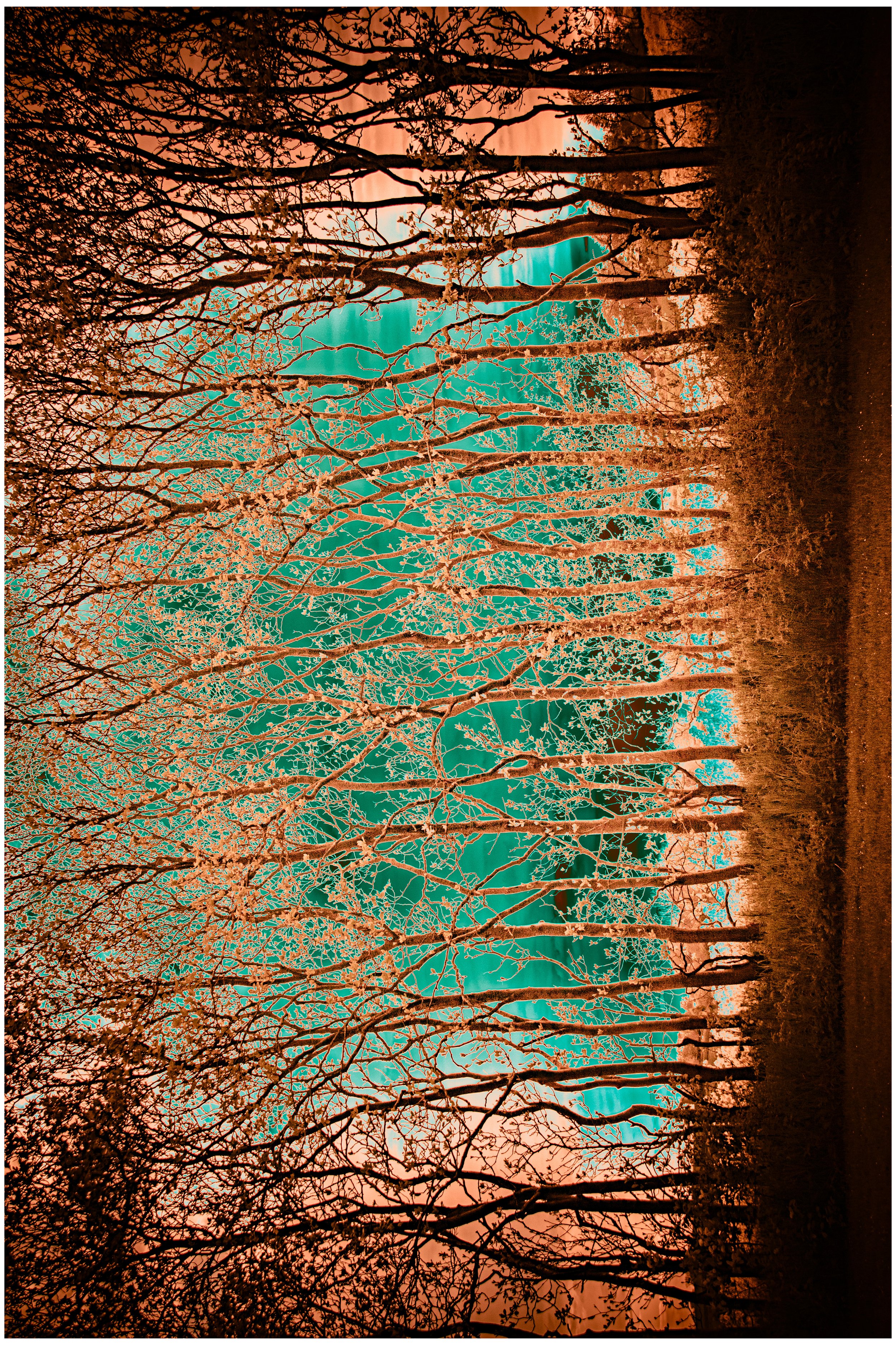 2022_Loving Mother-Earth _Izabella Schou-6.jpg