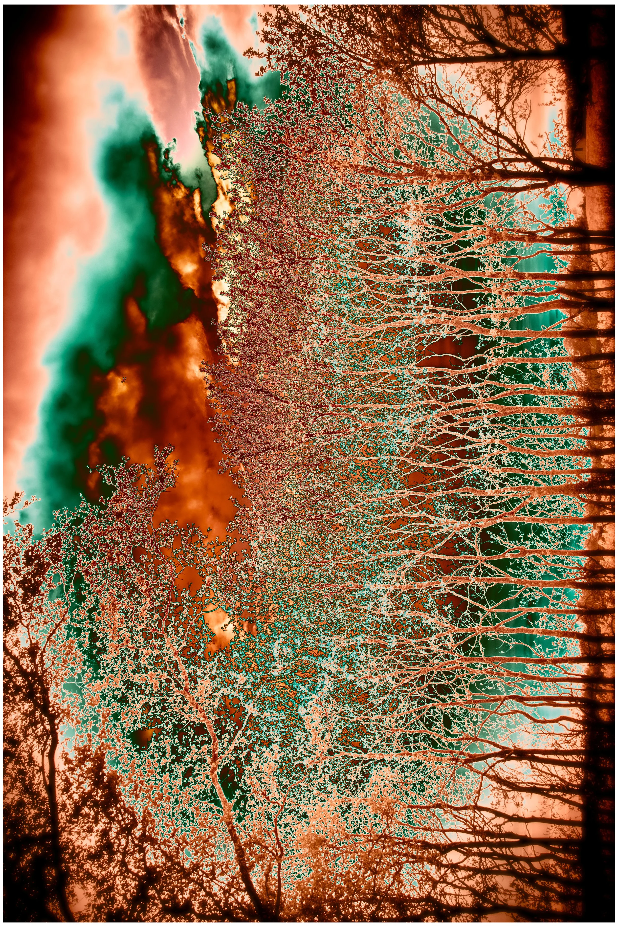 Loving Mother Earth_Izabella Schou_2022.jpg