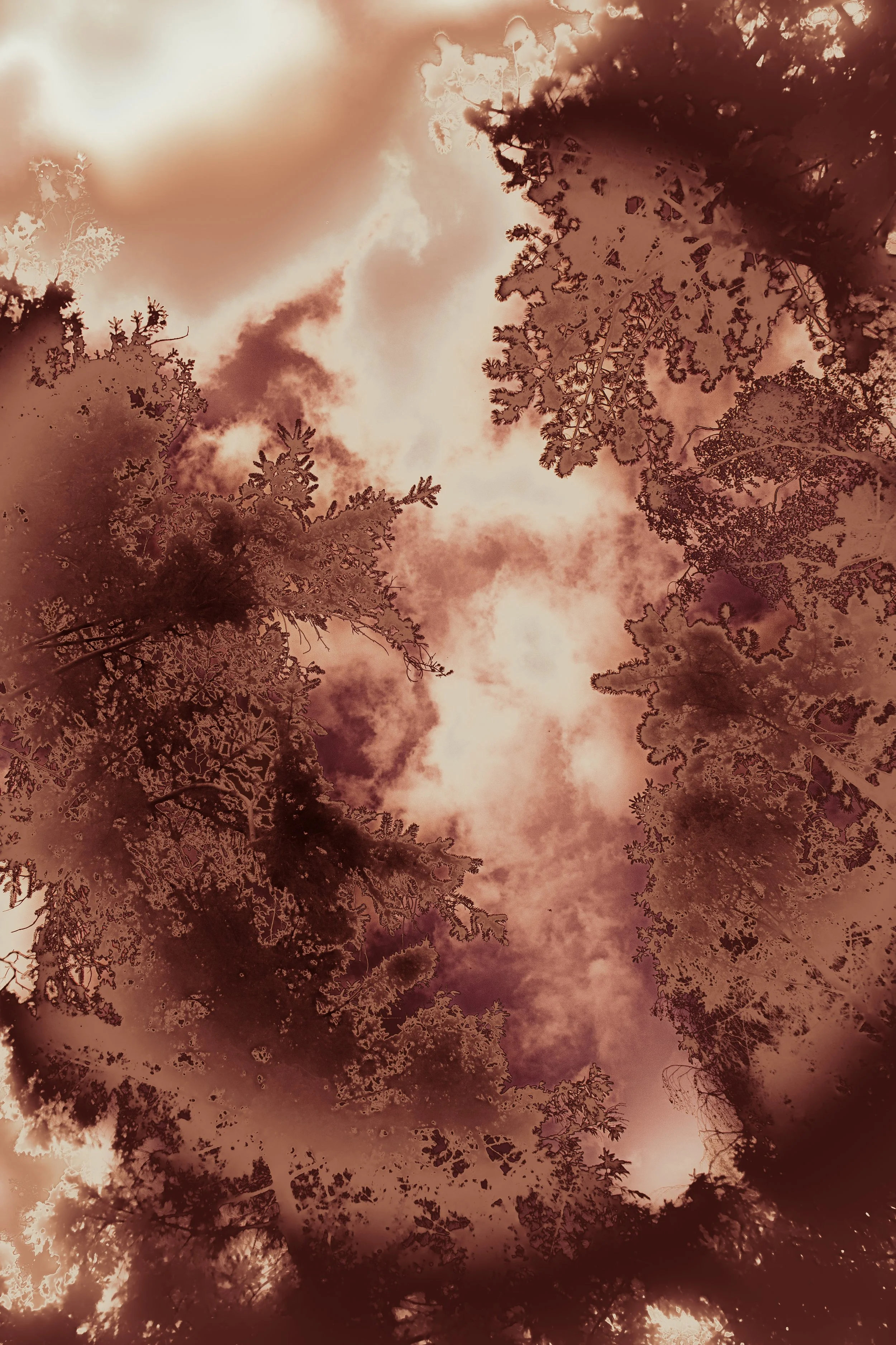 2022_Connecting_Heaven and Earth_Izabella Schou-4.jpg