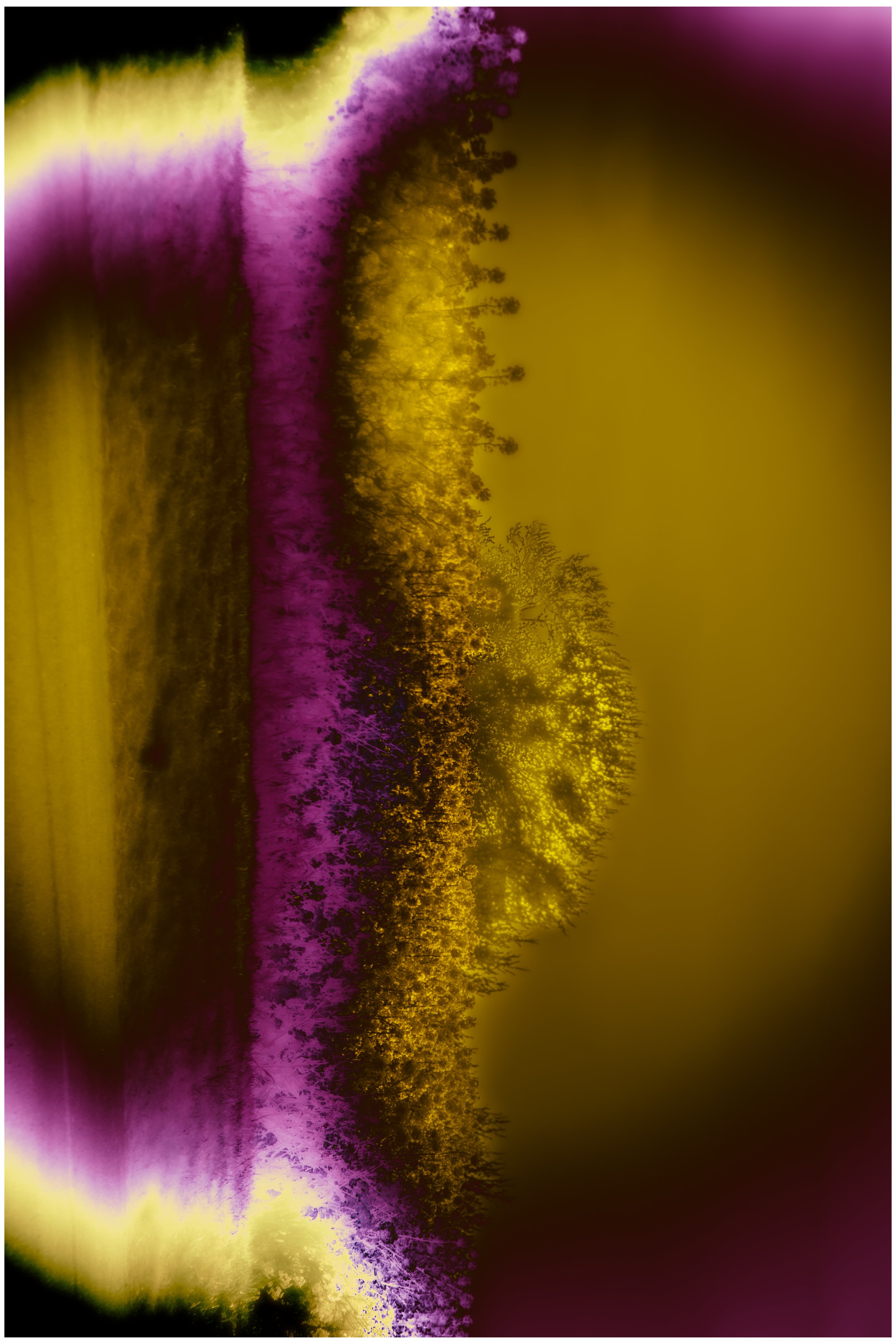 Silk Dawning_Izabella Schou_2022.jpg