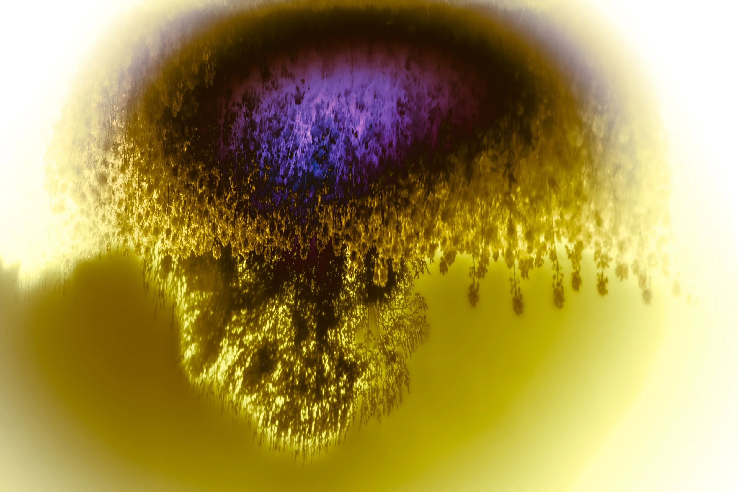 Silk Dawning_Izabella Schou_2022-9.jpg