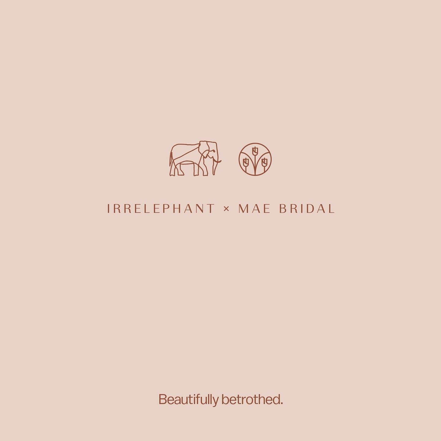 Happy Annoucement Time! We have been dreaming and planning of a way to expand our team beyond just Joanna and Molly. With new events taking place in our lives - opportunities arose to merge our brand and vision with @mae__studio 

It is the sweetest 