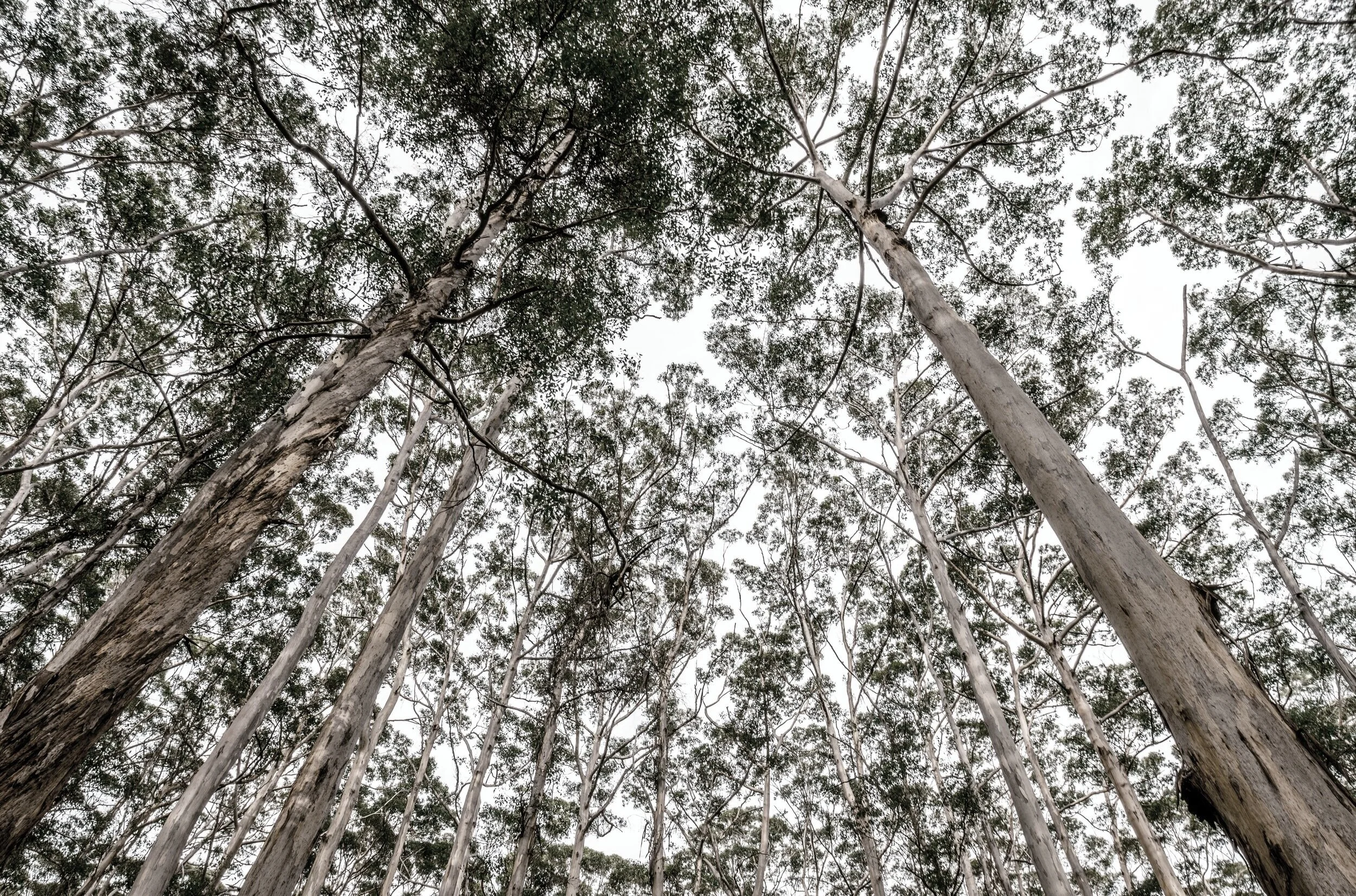 Top 10 growth activities for financial professionals