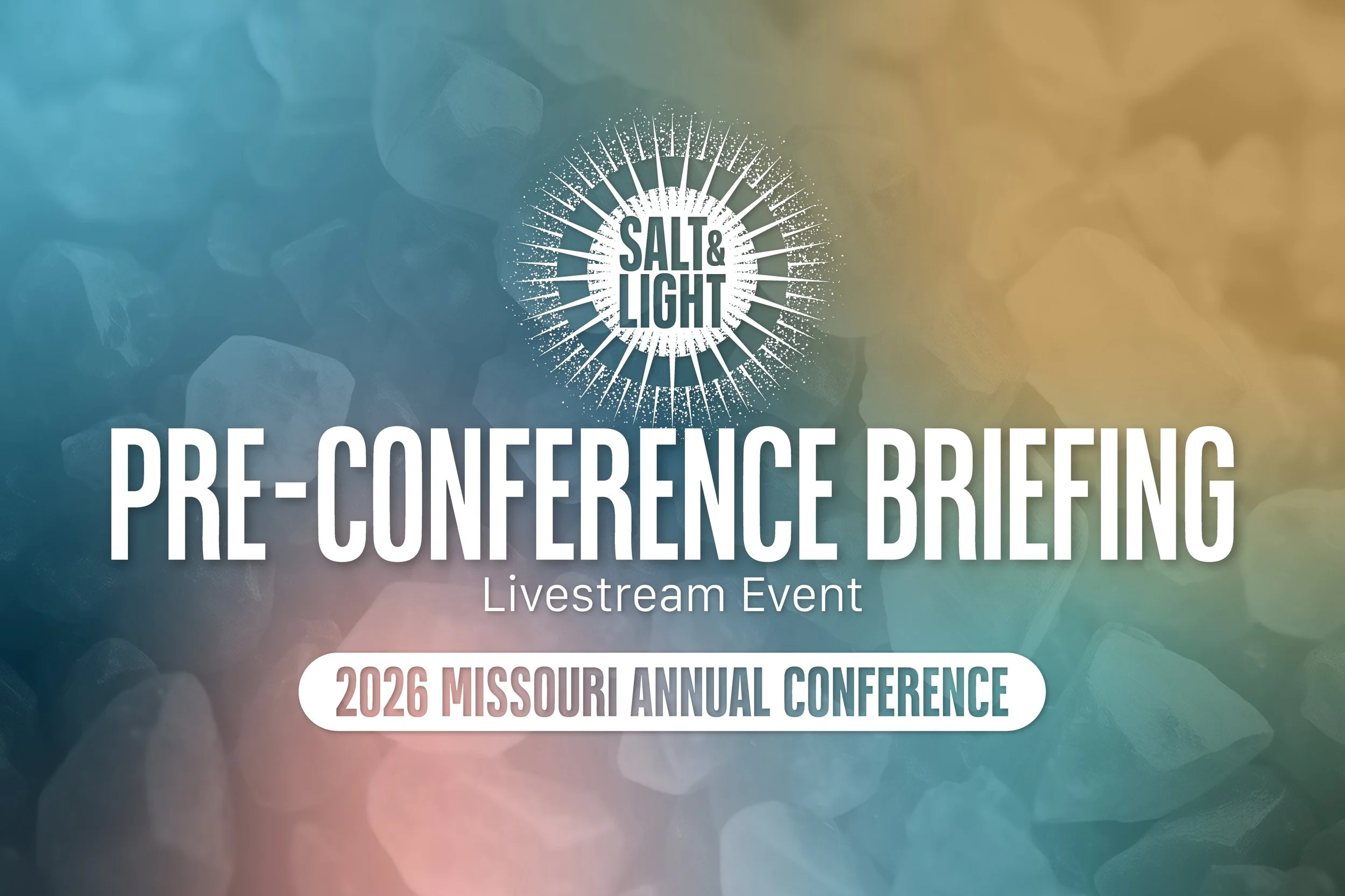 Pre-Conference Briefing