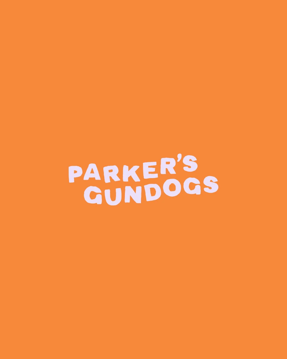 ParkersGundogs-Orange-1200x1500.jpg