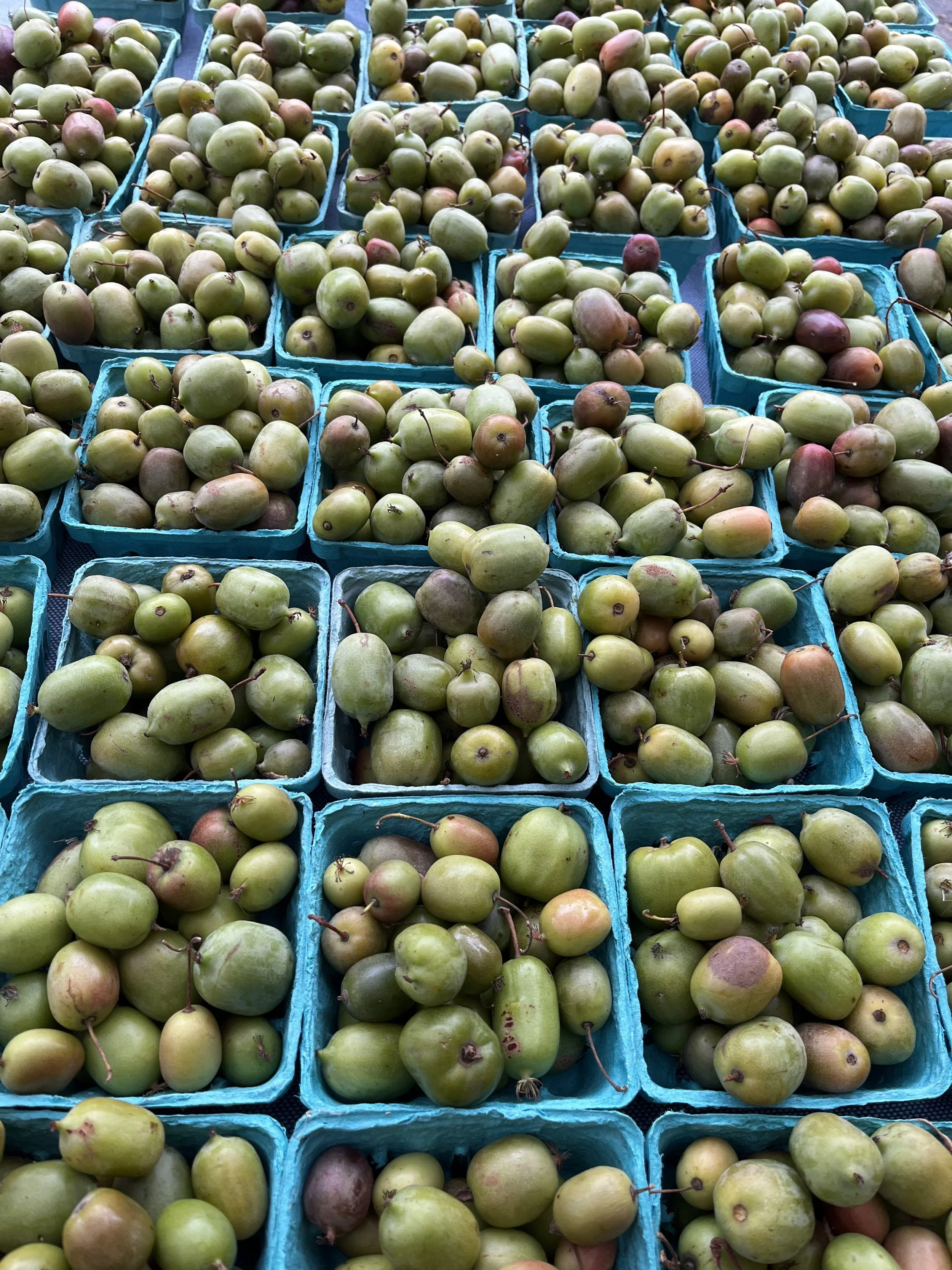 Ballard Farmers Market