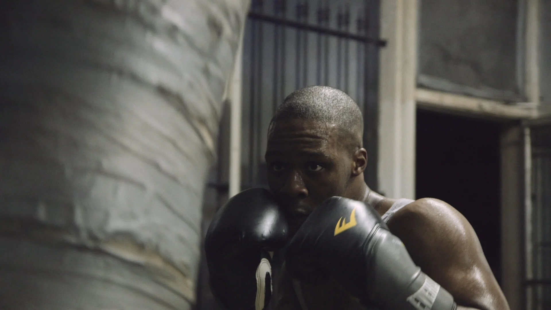 Pine Curtain Fighters (Docuseries)
