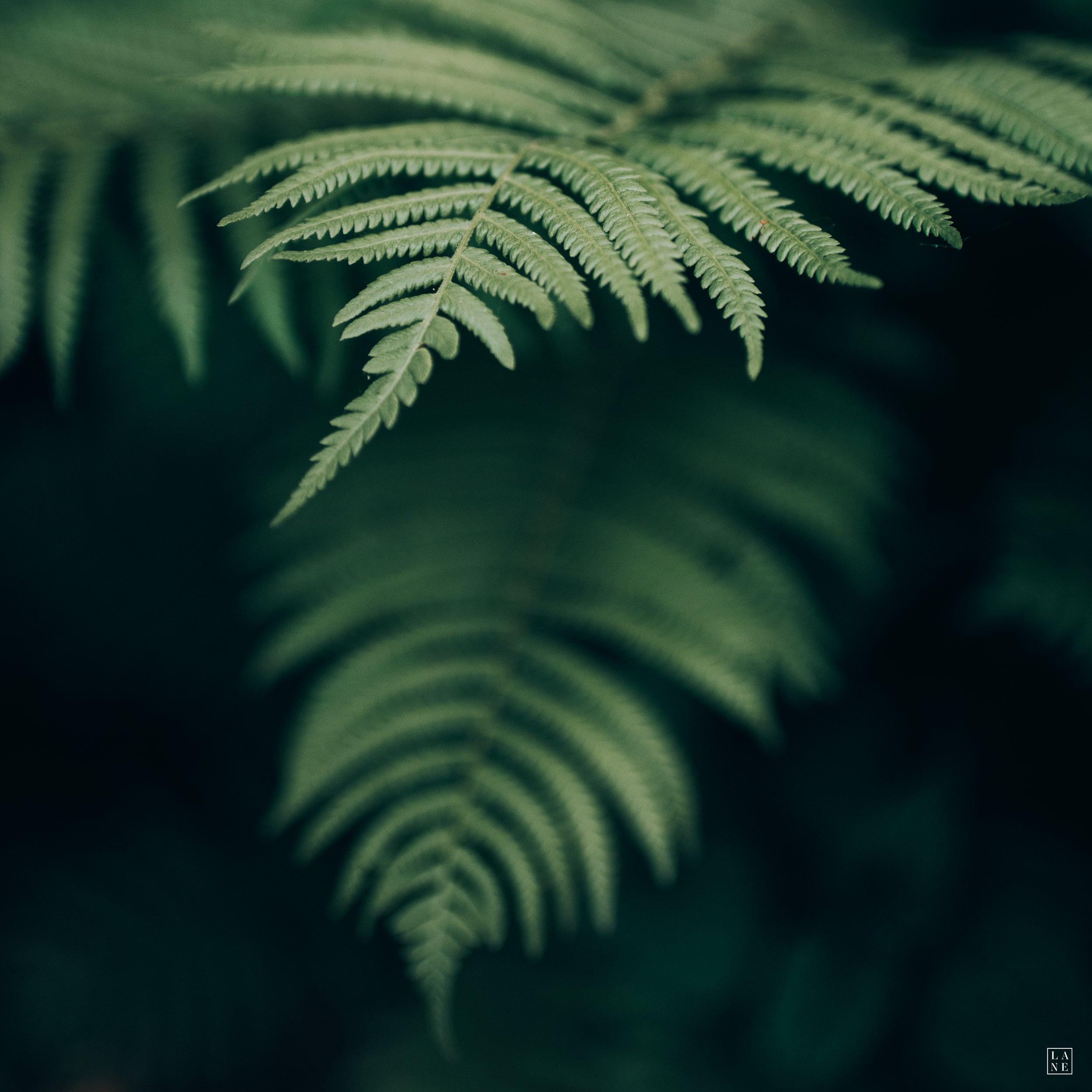 New Jersey Wedding Seasons: When and Where (with Links!!)