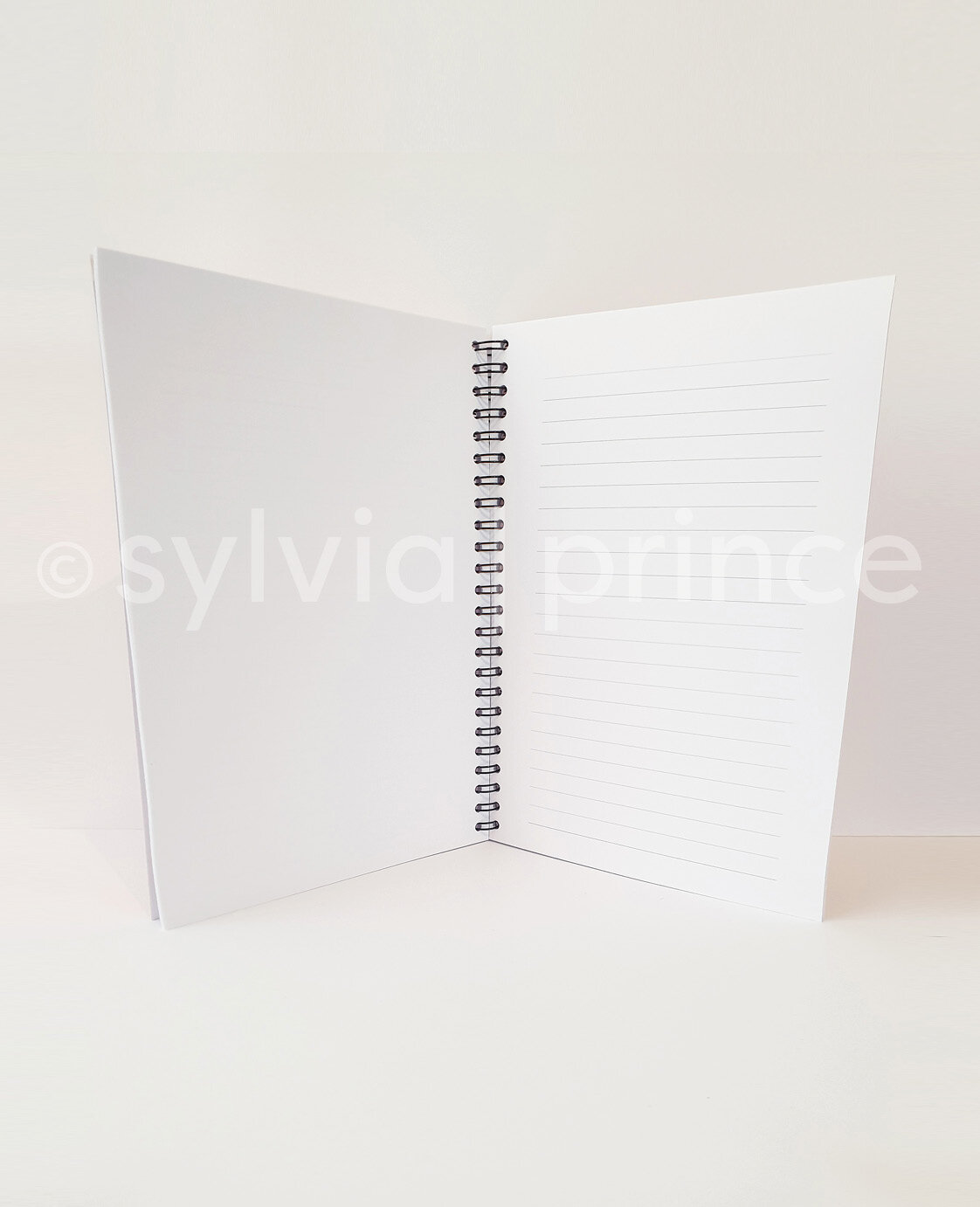 notebook_pages2.jpg