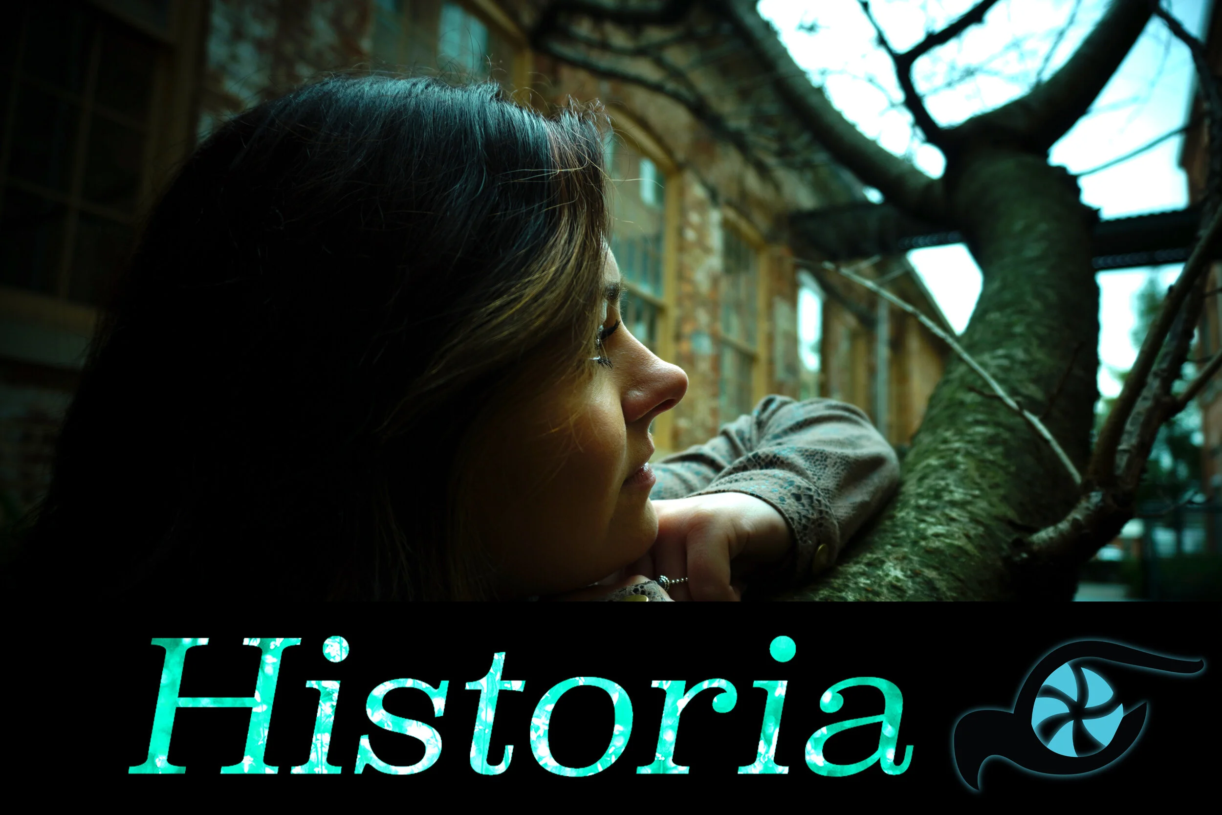 historia logo cold 2.jpg