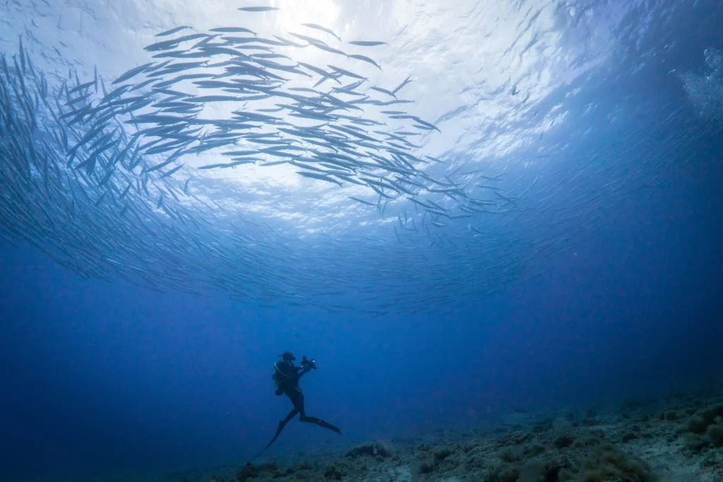 National Geographic Education Resource Library