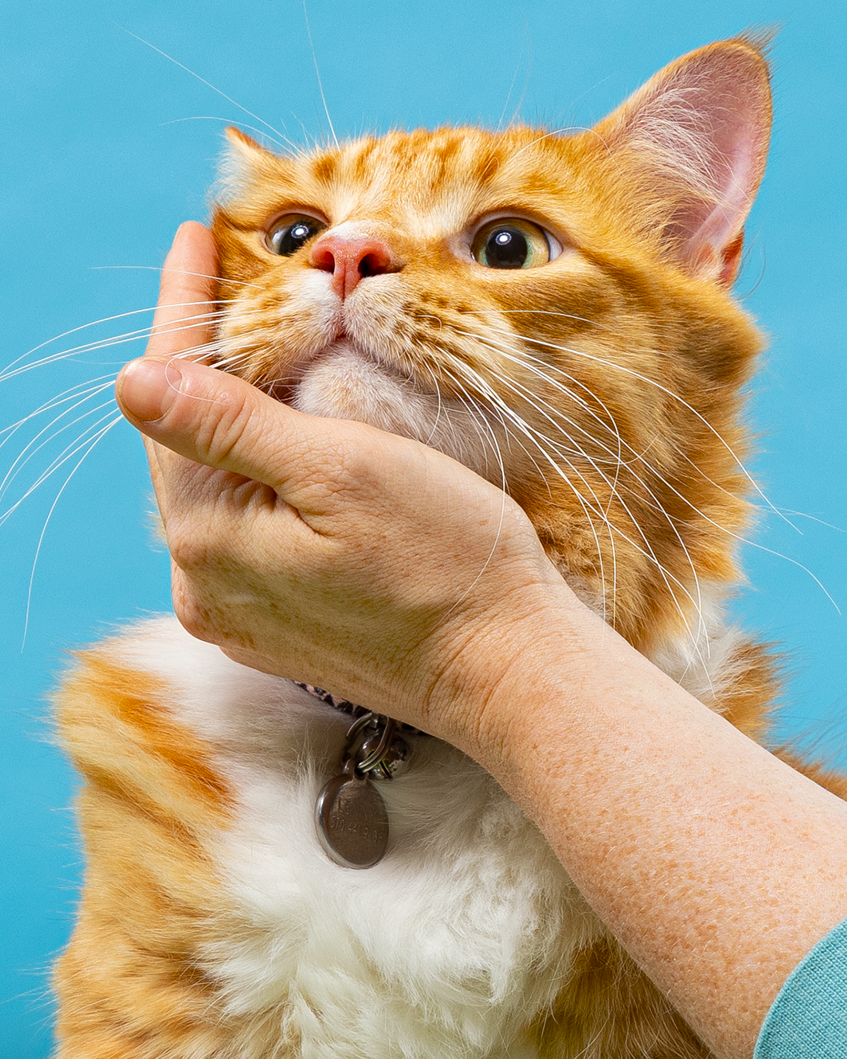 2606_260627_PetPortraits29209_4x5.png
