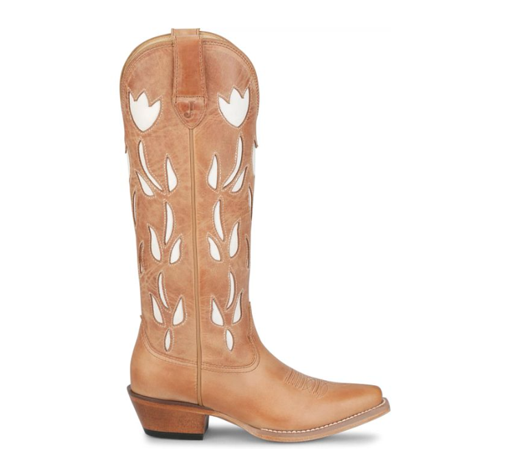 Screenshot 2026-03-23 115053.png