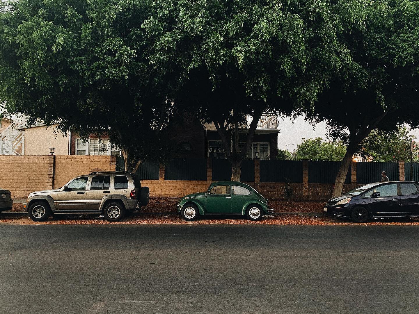 the perfect shade of green doesn&rsquo;t exi-