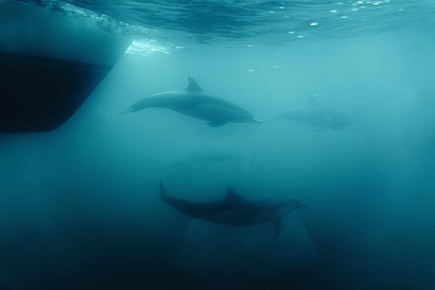 now this is pod racing