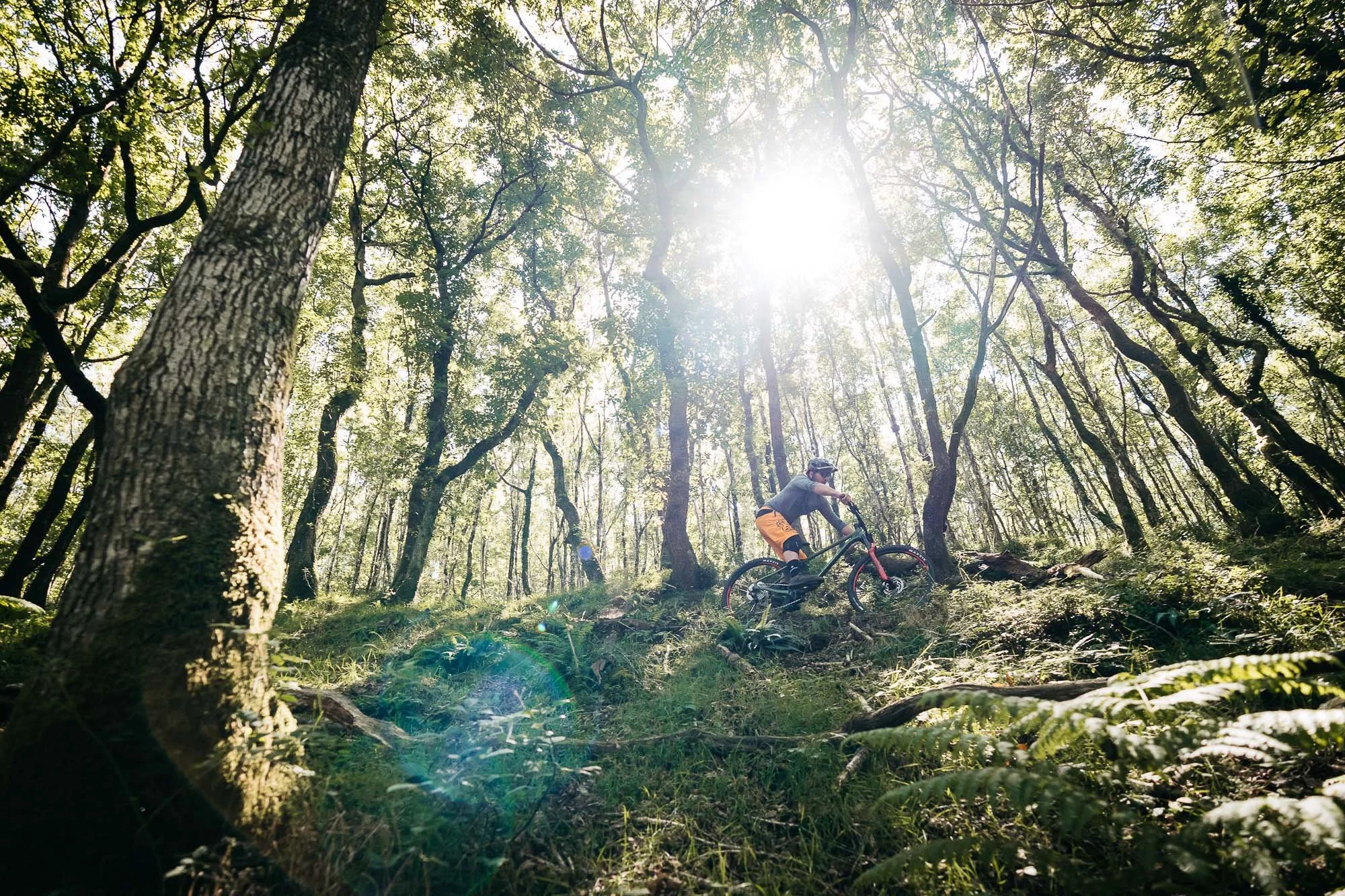 whinlatter mountain bike