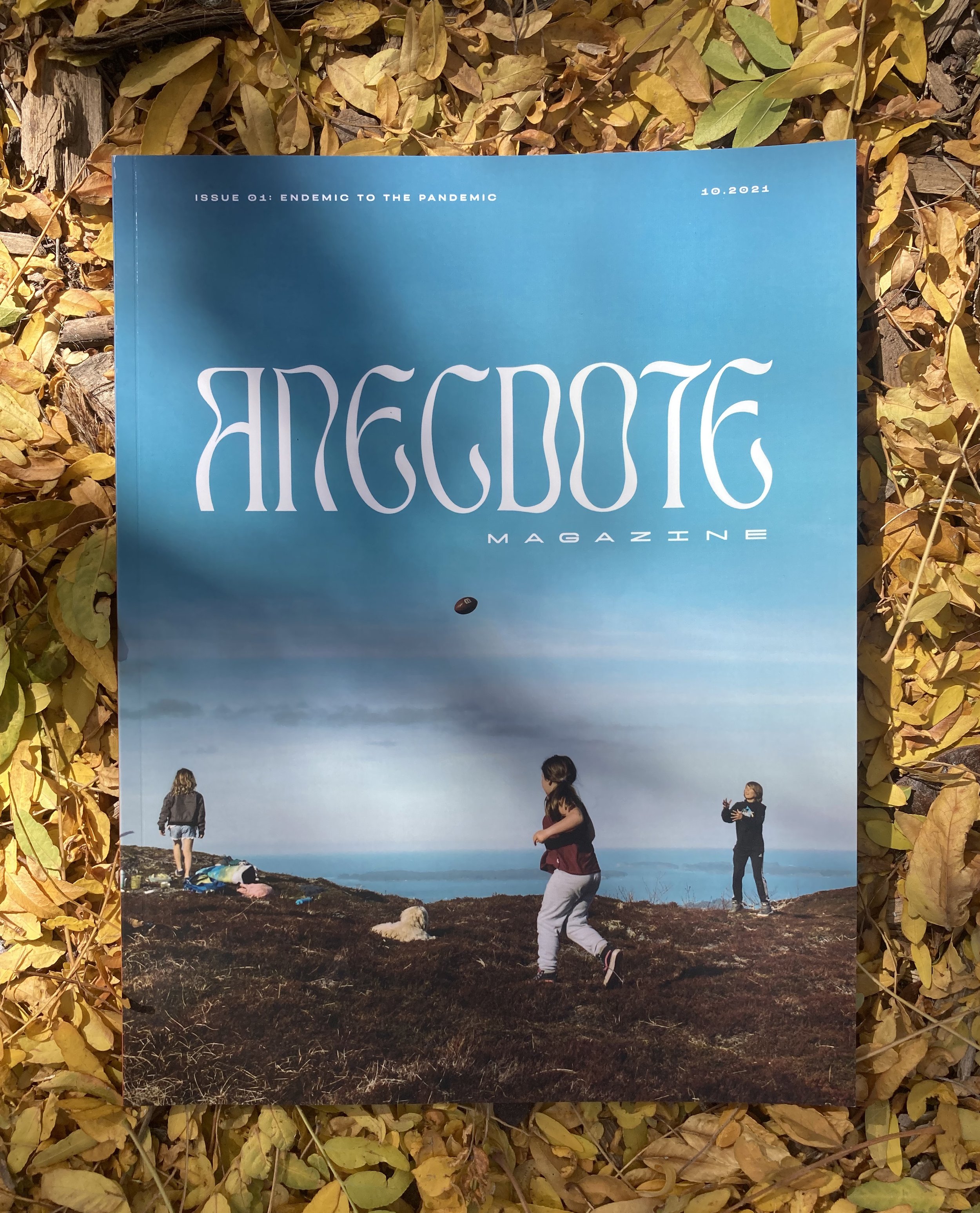 Store 2 — Anecdote Magazine