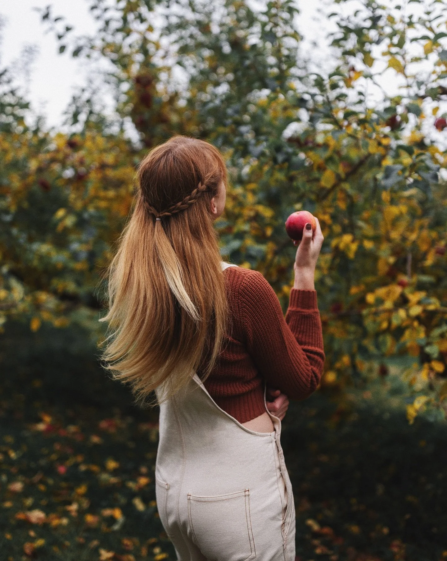 Apple of my eye 🍎🤍

Another fun and easy fall photoshoot idea: go apple picking! This was a fun little shoot in Northern Vermont. I love how the colors turned out!🥰

Shot with @mikesugianto 

#fallphotoshoot #fallphotoideas #applepicking #photosho