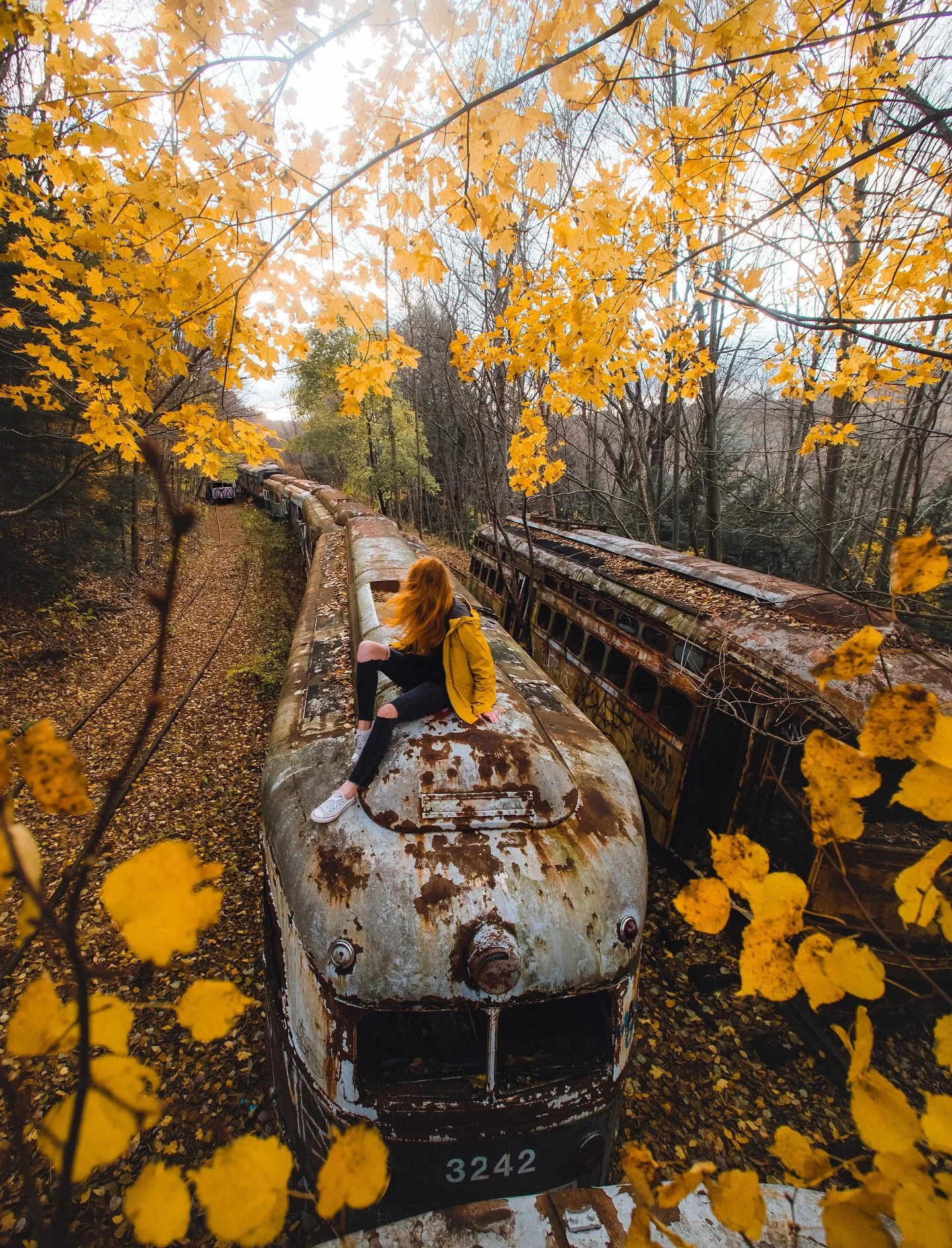 Free falling 🍁✨

Hi, my names Kelsey, and I&rsquo;m addicted to autumn 🙋🏼&zwj;♀️😂

It&rsquo;s been a minute since I went waaaay back through the fall archives&hellip;crazy to think I&rsquo;ve been photographing this season for seven years!!

So h