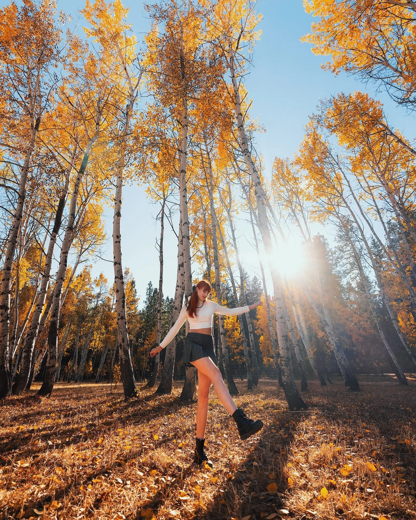 Golden days 🍂✨

Found this little grove of aspens in Washington last year and did a quick photoshoot! 

These photos kinda of crack me up now because I saw the most insane aspens in Colorado this fall, so the trees here feel so small now, ha!😆

Edi
