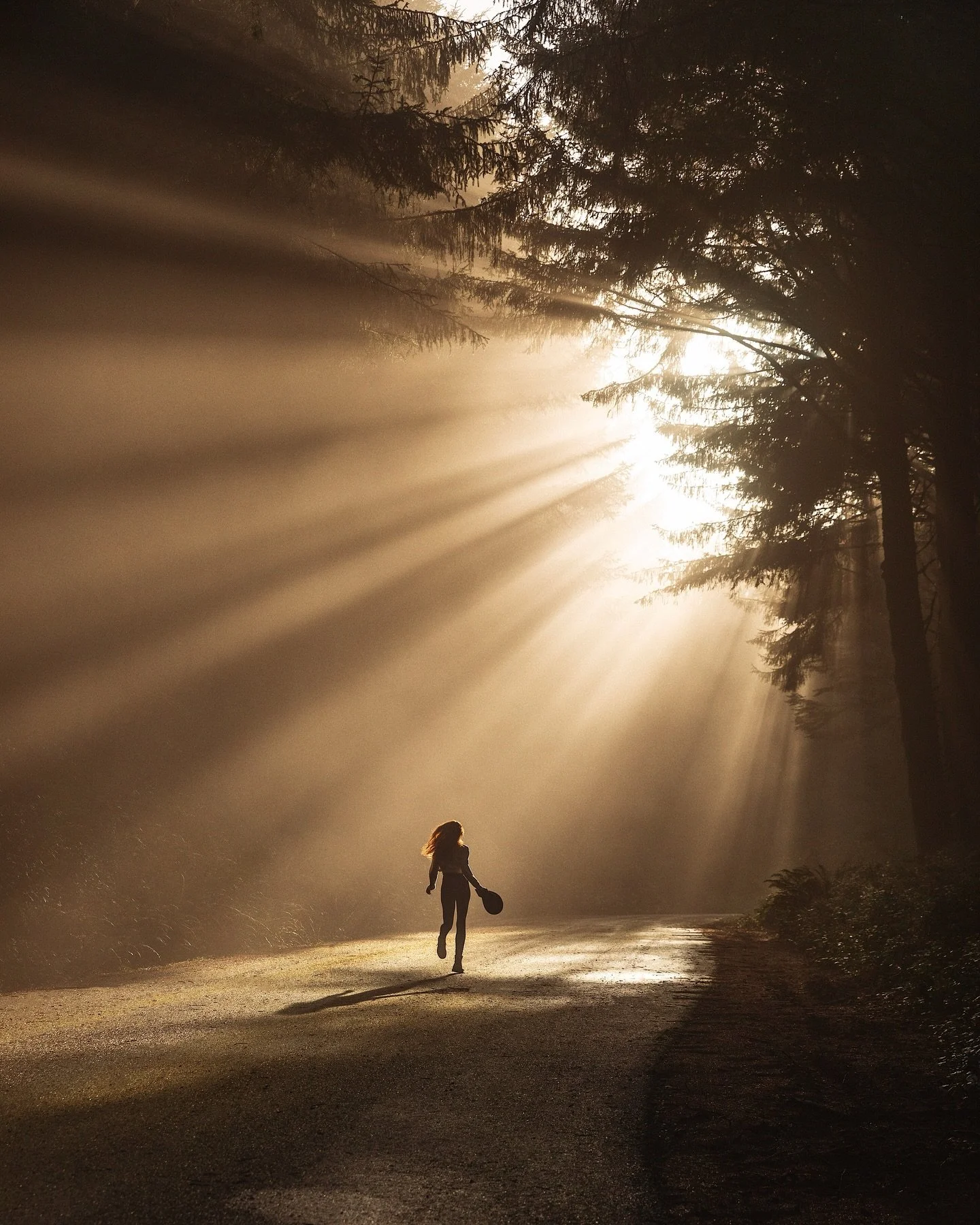 Everything the light touches ✨

In my humble personal opinion, the best time of year for light rays on the Oregon coast is the 2nd week of January. So if the weathers looking clear and you can make it out there soon, I highly recommend you go.

That 