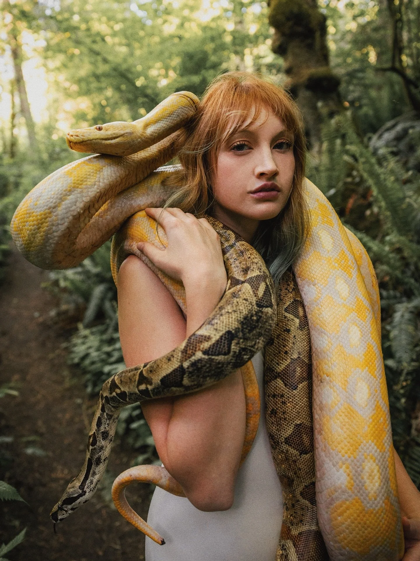 Slytherin season 🐍

One thing I like about taking photos is that I really don&rsquo;t fear anything while I&rsquo;m taking them. I&rsquo;m so in flow and laser focused on getting the shot, I can ignore almost anything&hellip;including a giant yellow