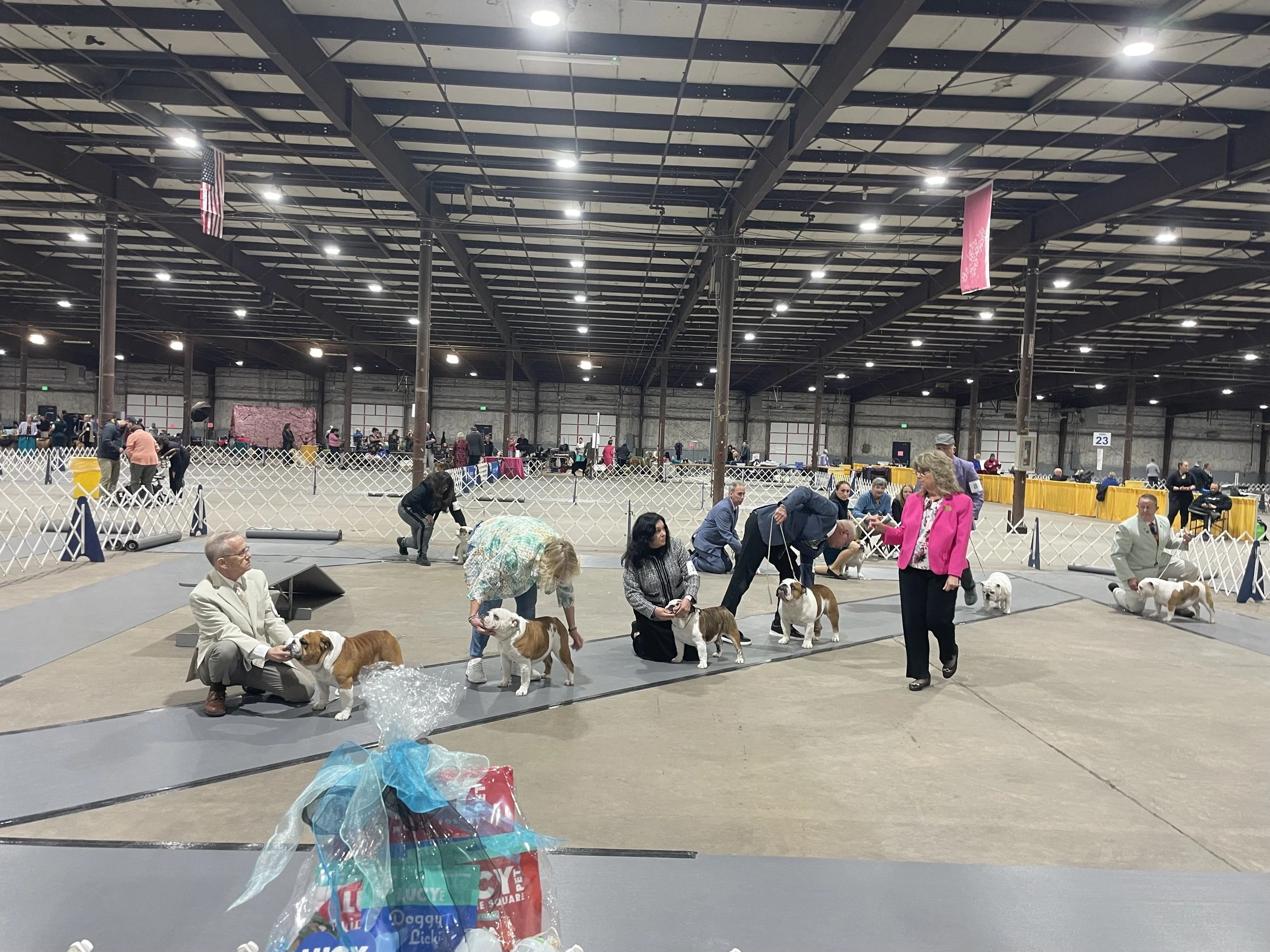 IMG_5678.jpeg