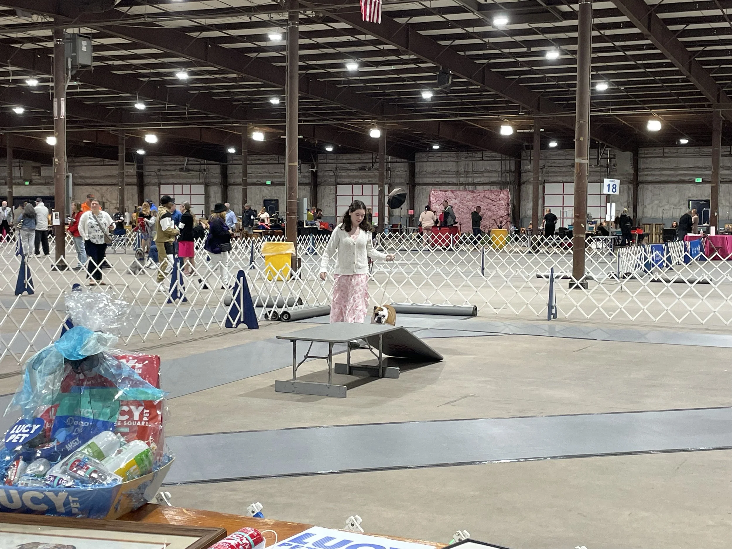 IMG_5684.jpeg