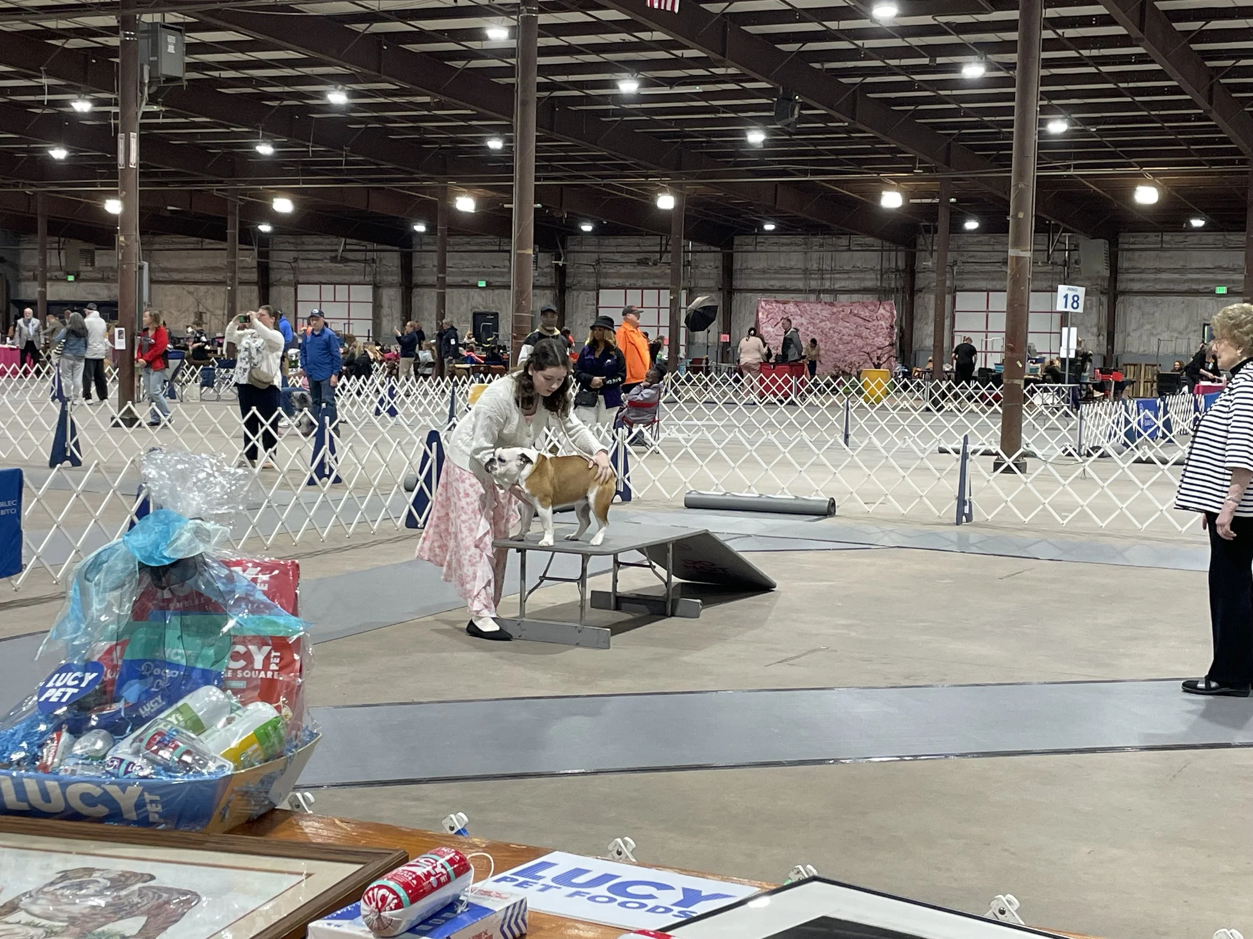 IMG_5685.jpeg