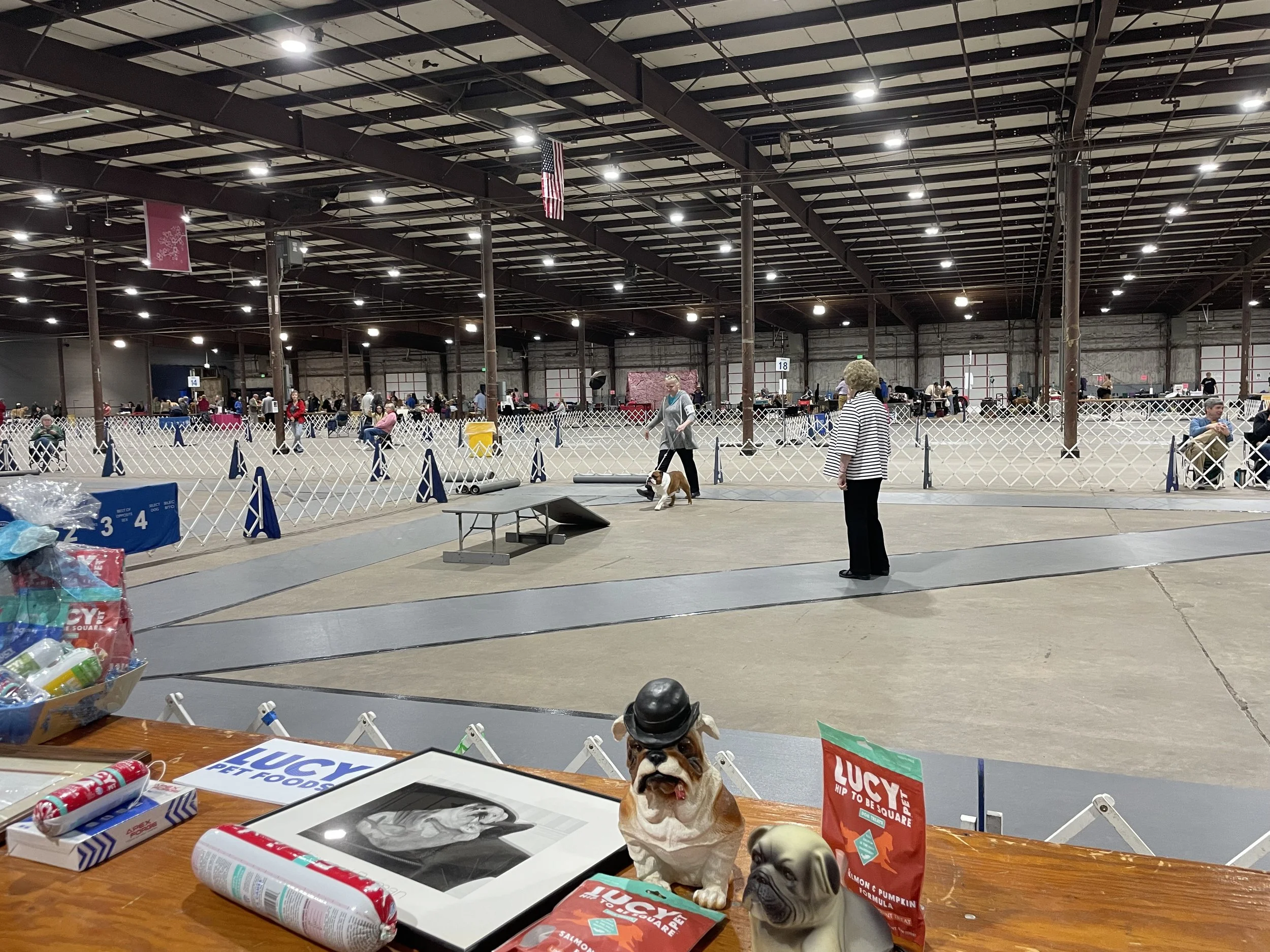 IMG_5683.jpeg