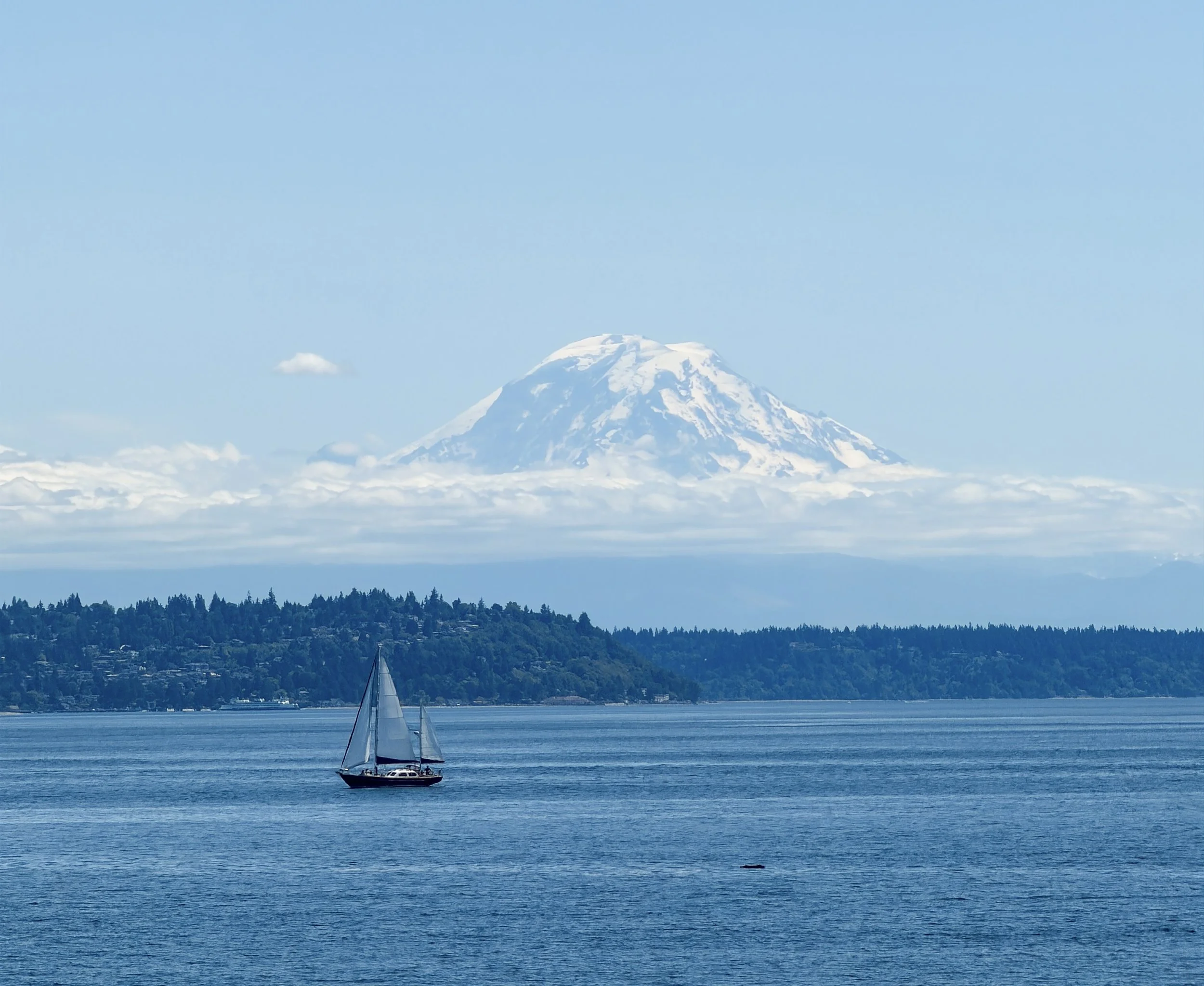 Washington Wanderings