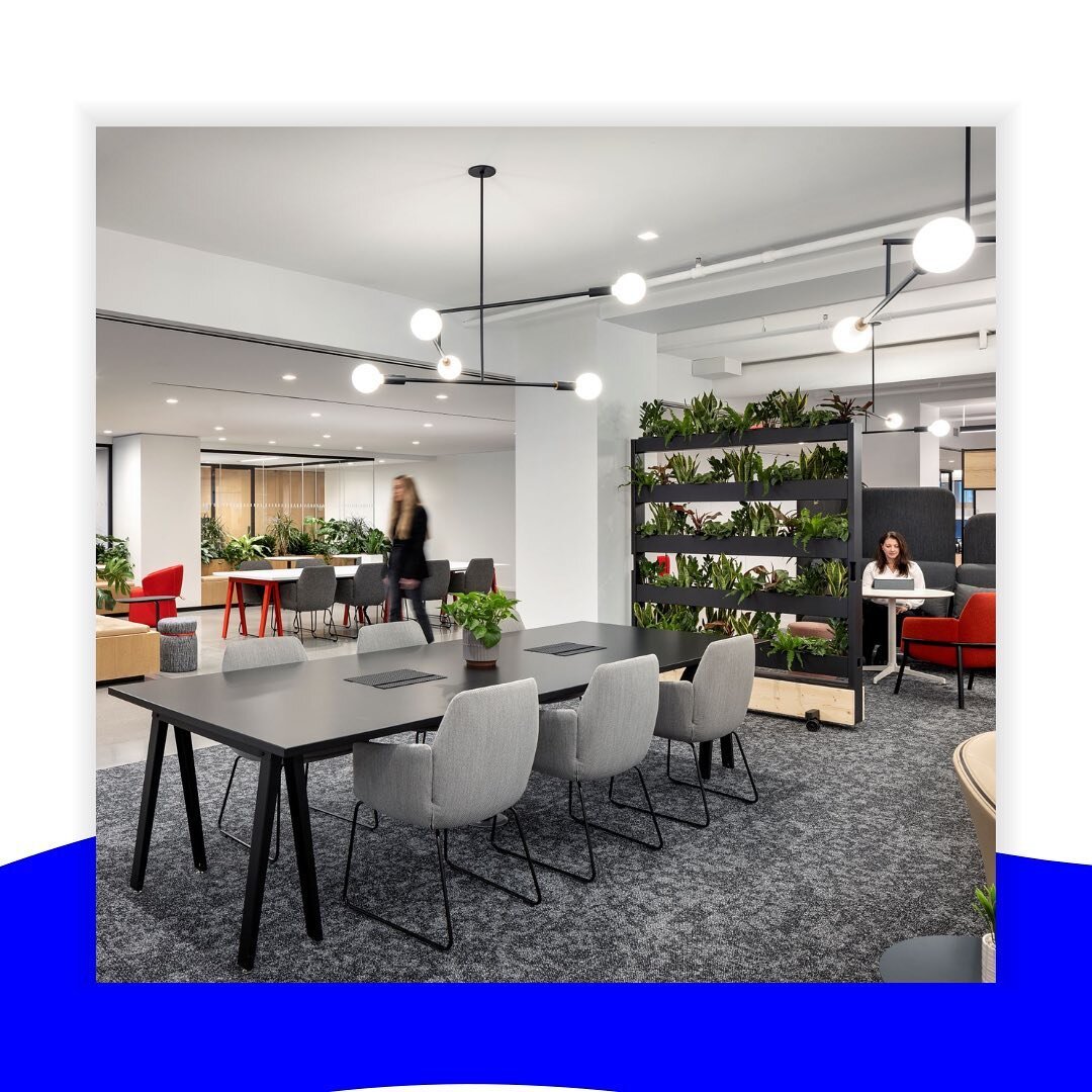 Our team developed a variety of open plan amenity and social space. In support of JLL&rsquo;s culture, wellness, and agility goals these areas feature biophilia that doubles as space delineation + offers mobility to accommodate future changes. 

@tpg