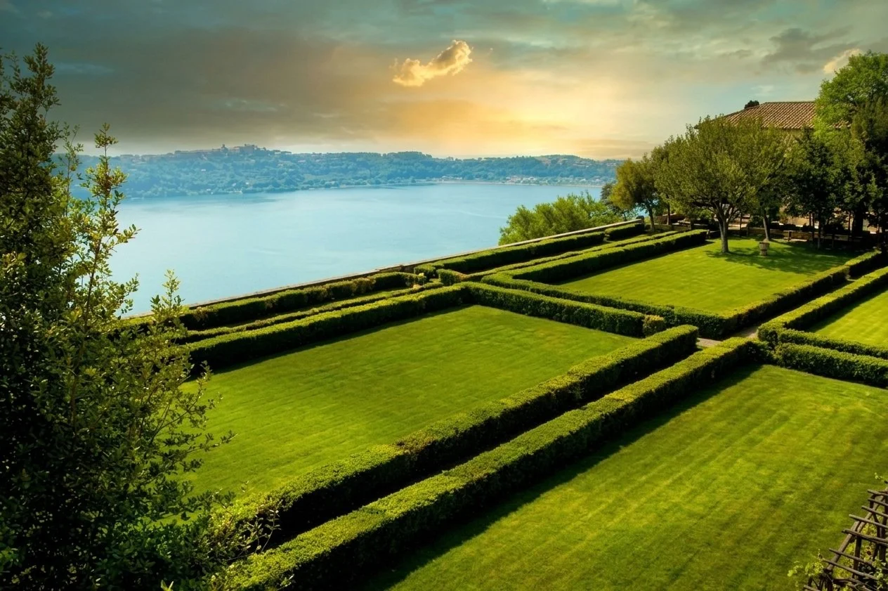 garden 11.jpg