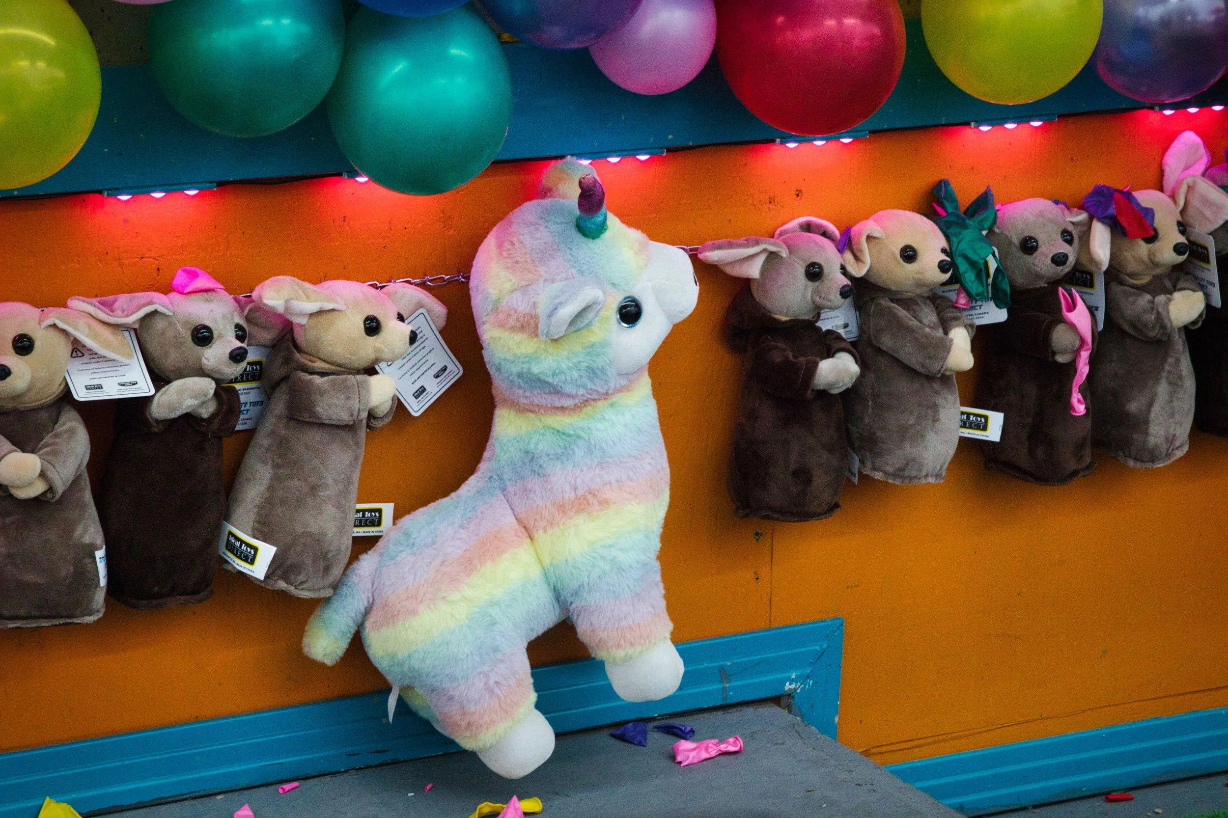 Midway - | Photographer Dylan McDonald | IMG_1734.jpeg