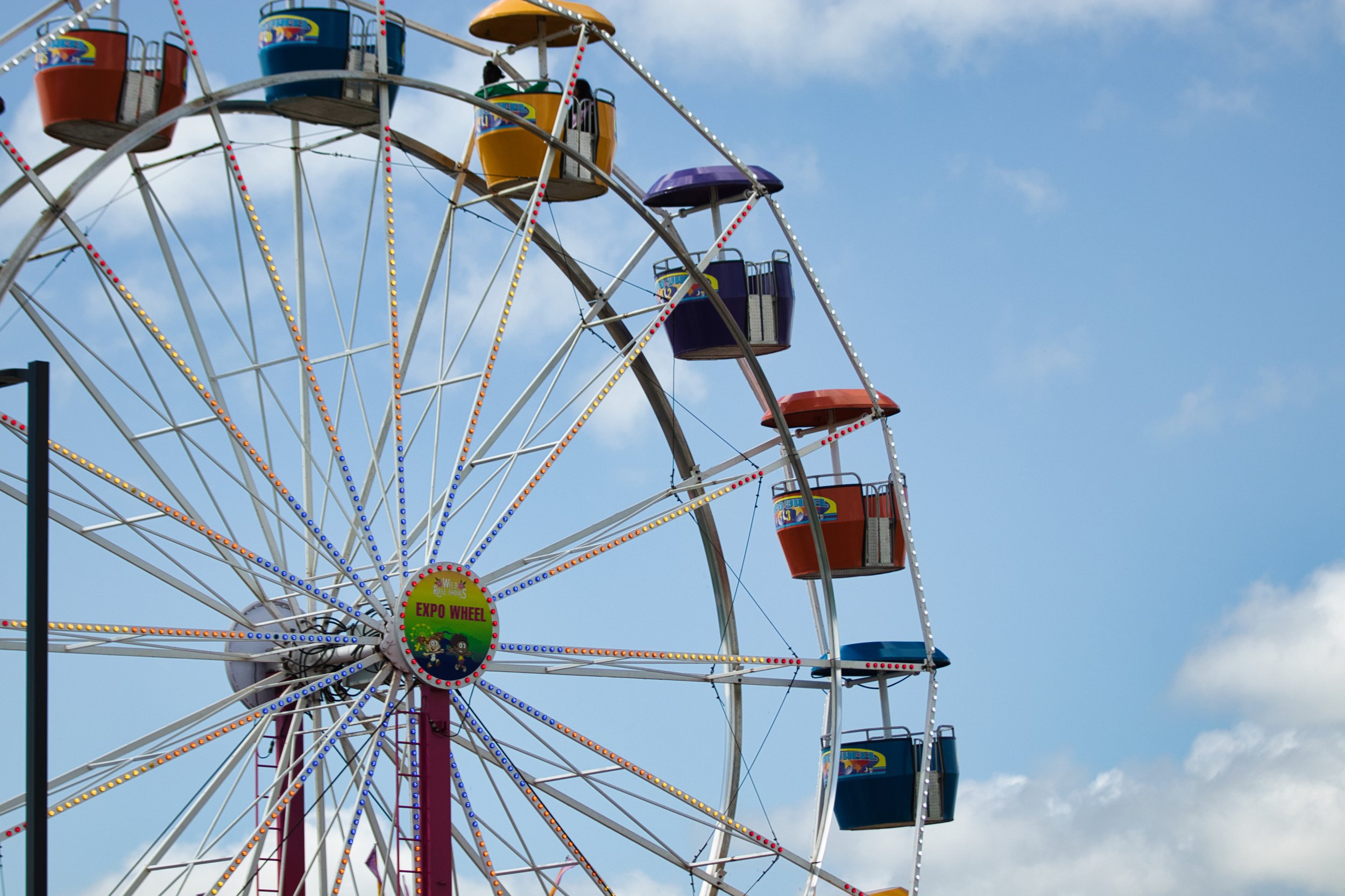 Midway - | Photographer Dylan McDonald | IMG_2365.jpeg