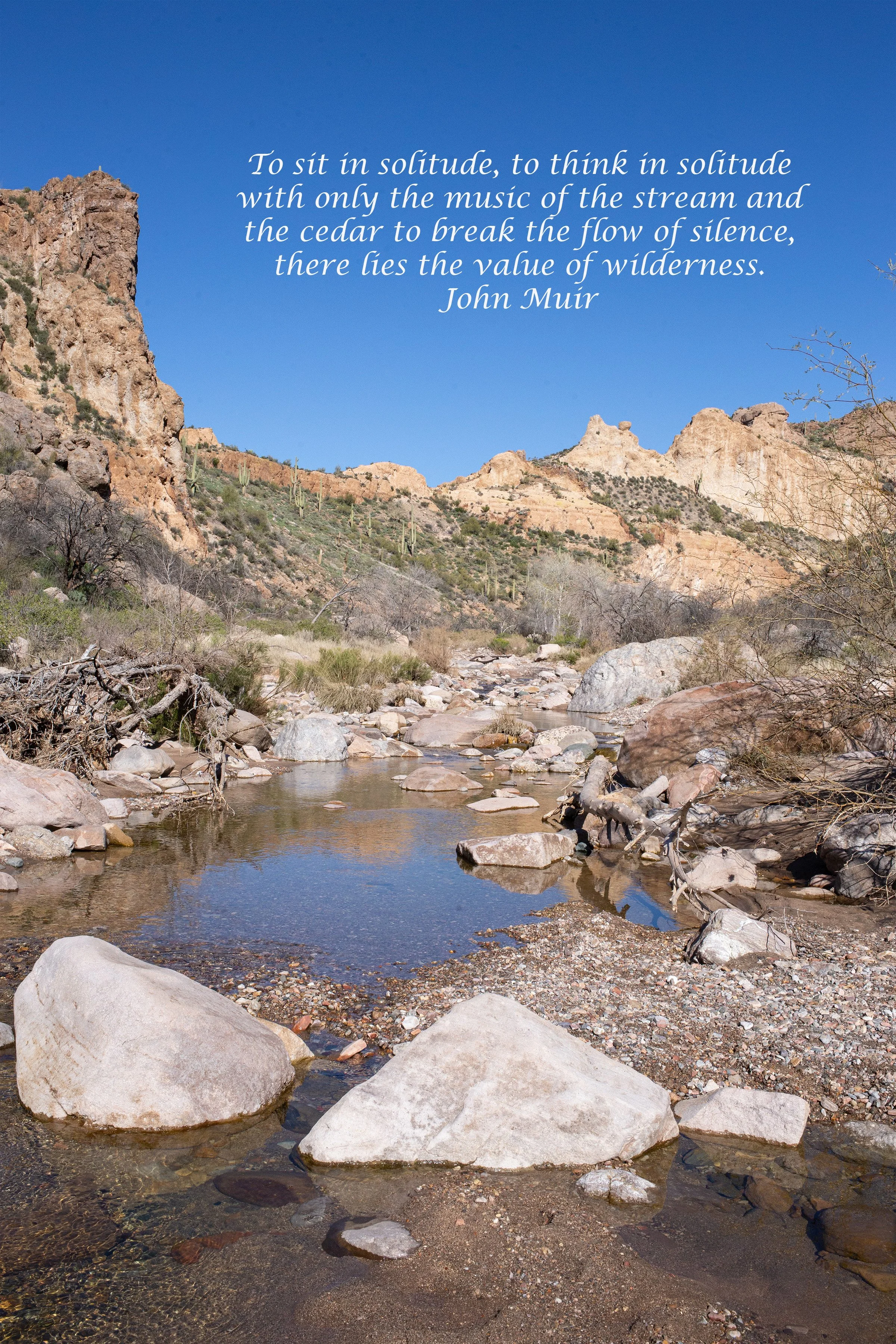 TNF, John Muir.jpg