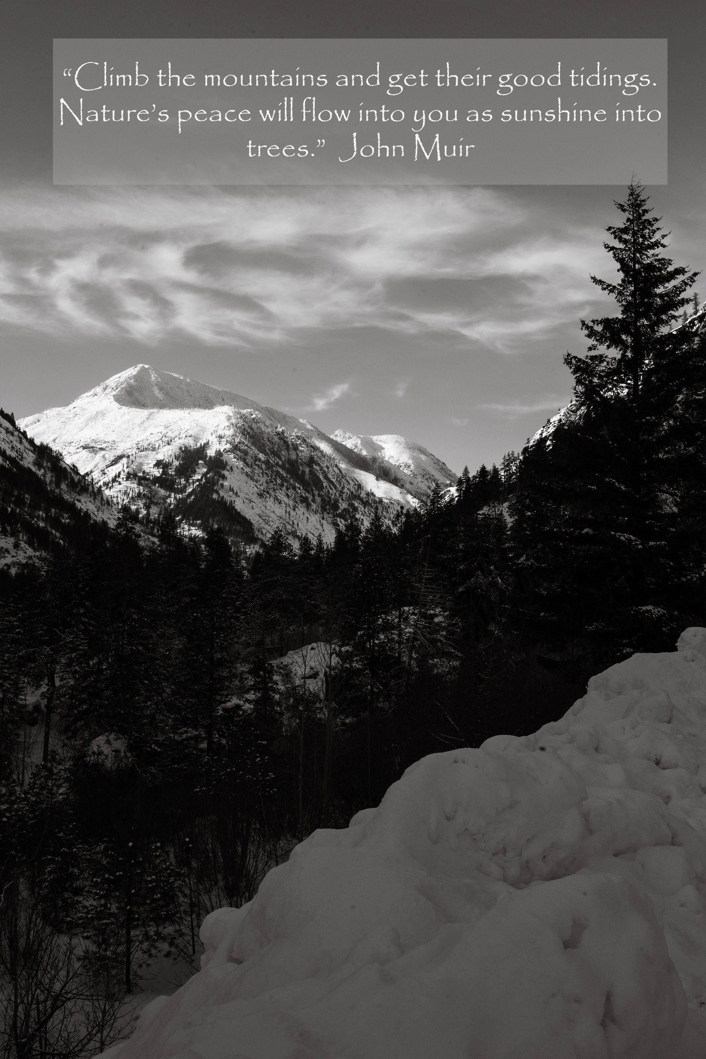 John Muir, black and white.jpg