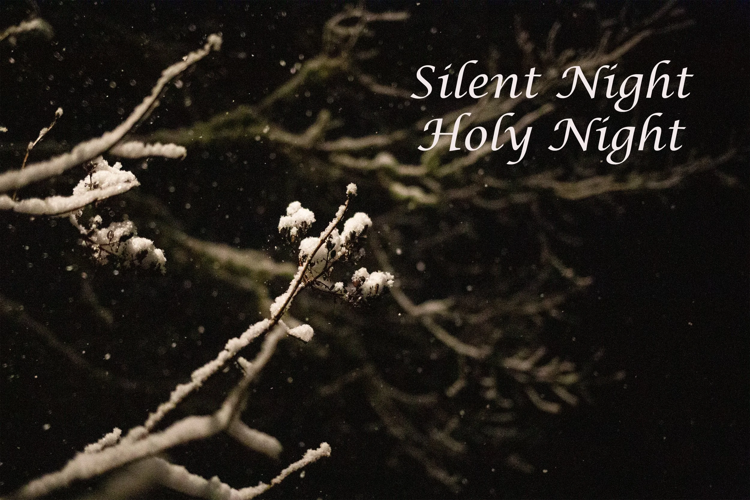 Winter night.jpg
